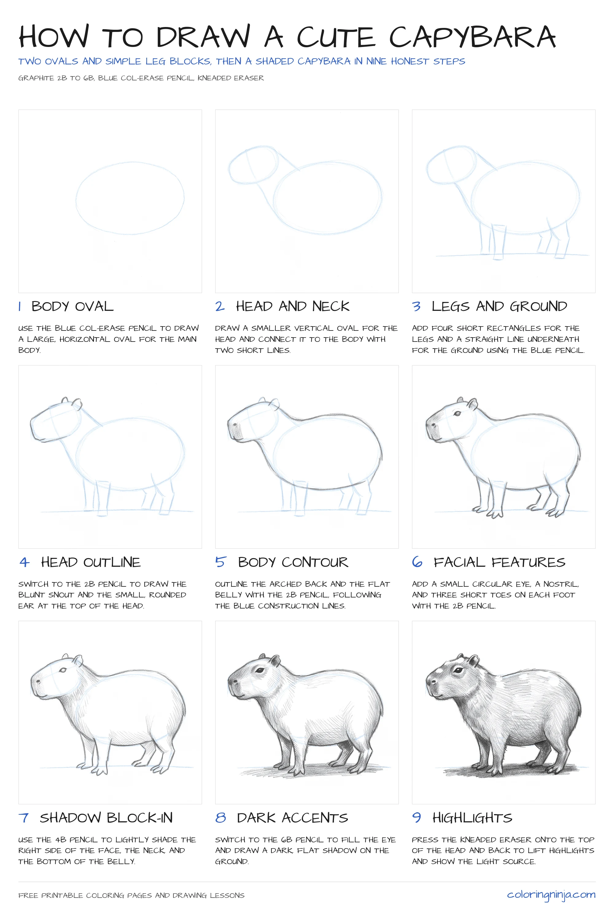 How to draw a Cute Capybara: the 9-step lesson sheet