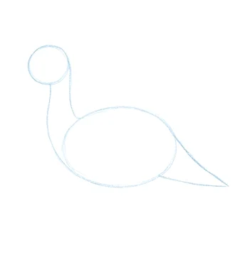 Step 2: Neck and tail