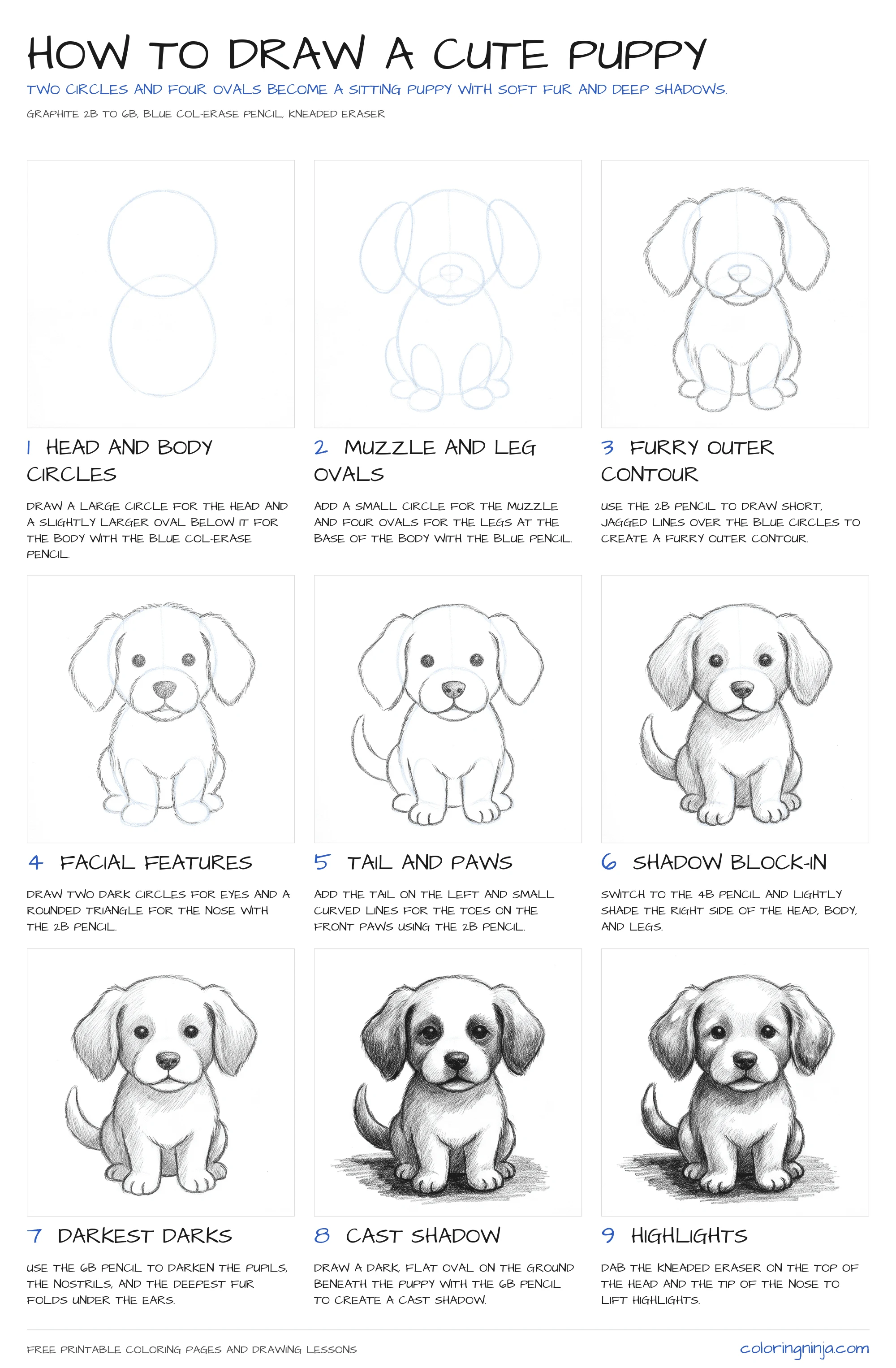 How to draw a Cute Puppy: the 9-step lesson sheet