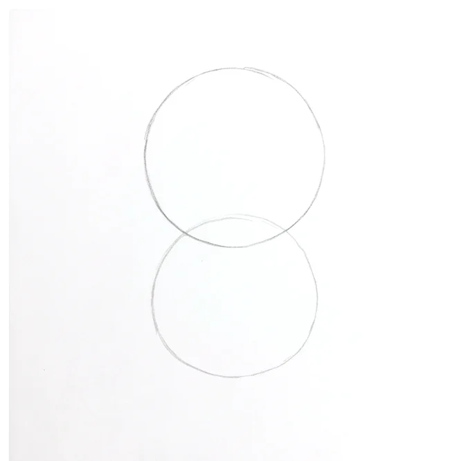 Step 1: Head and body circles