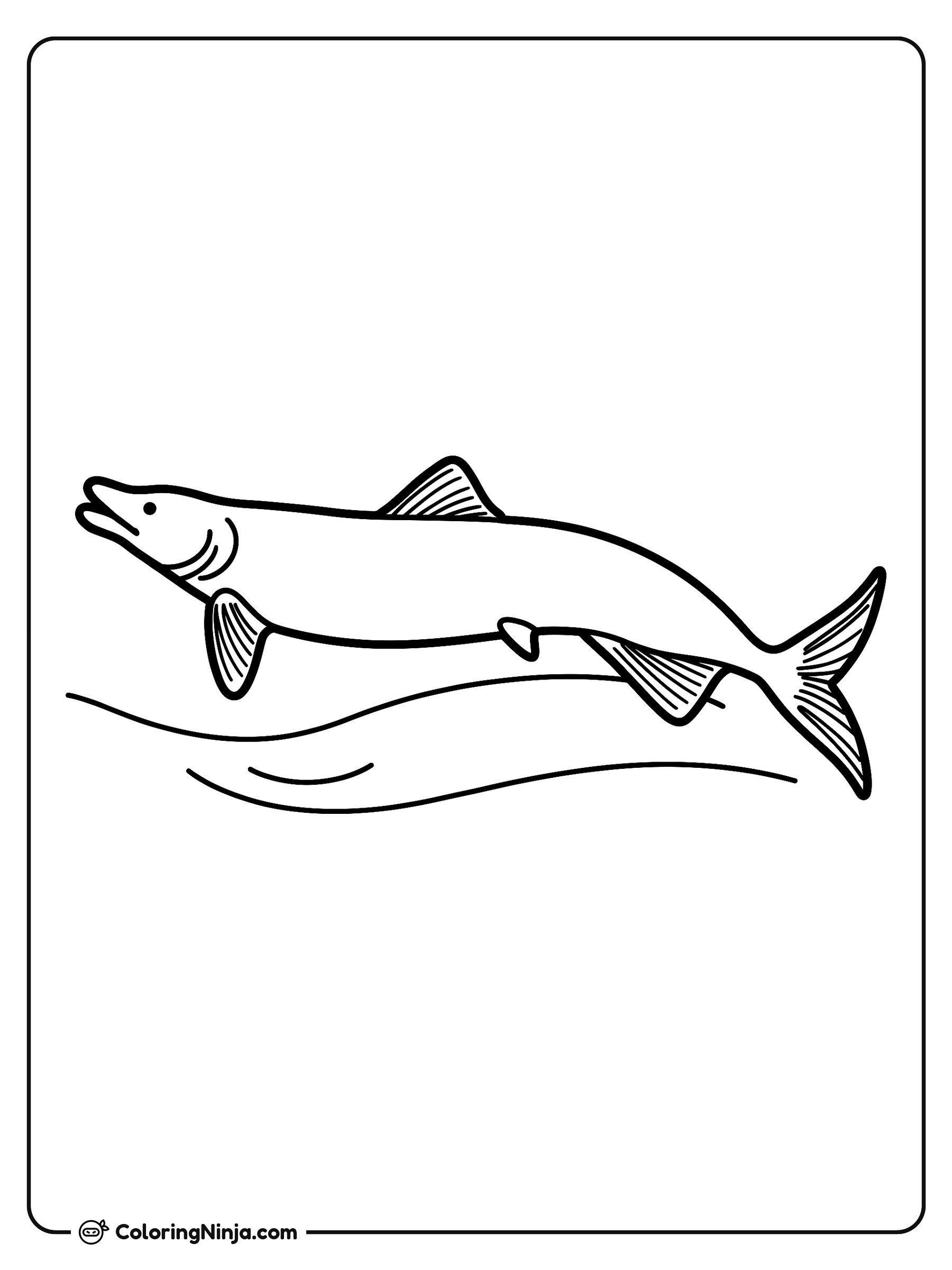 Pez largo nadando en el agua: dibujo para colorear