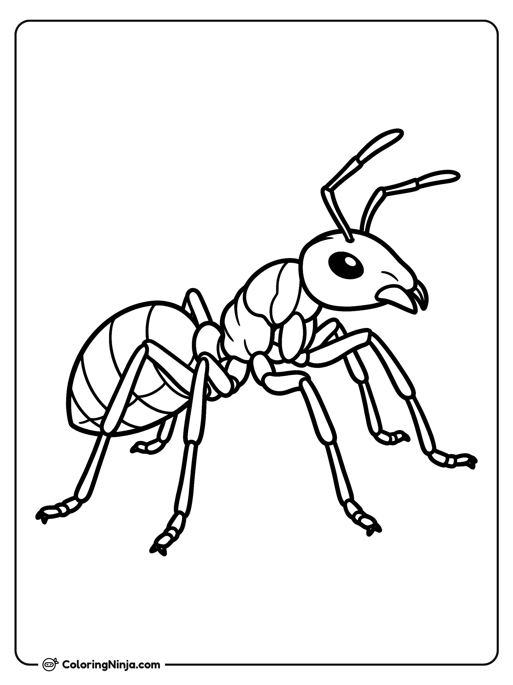 Hormiga alegre con antenas levantadas, dibujo para colorear: Una alegre hormiga se apoya sobre sus seis patas mientras levanta las antenas hacia adelante.