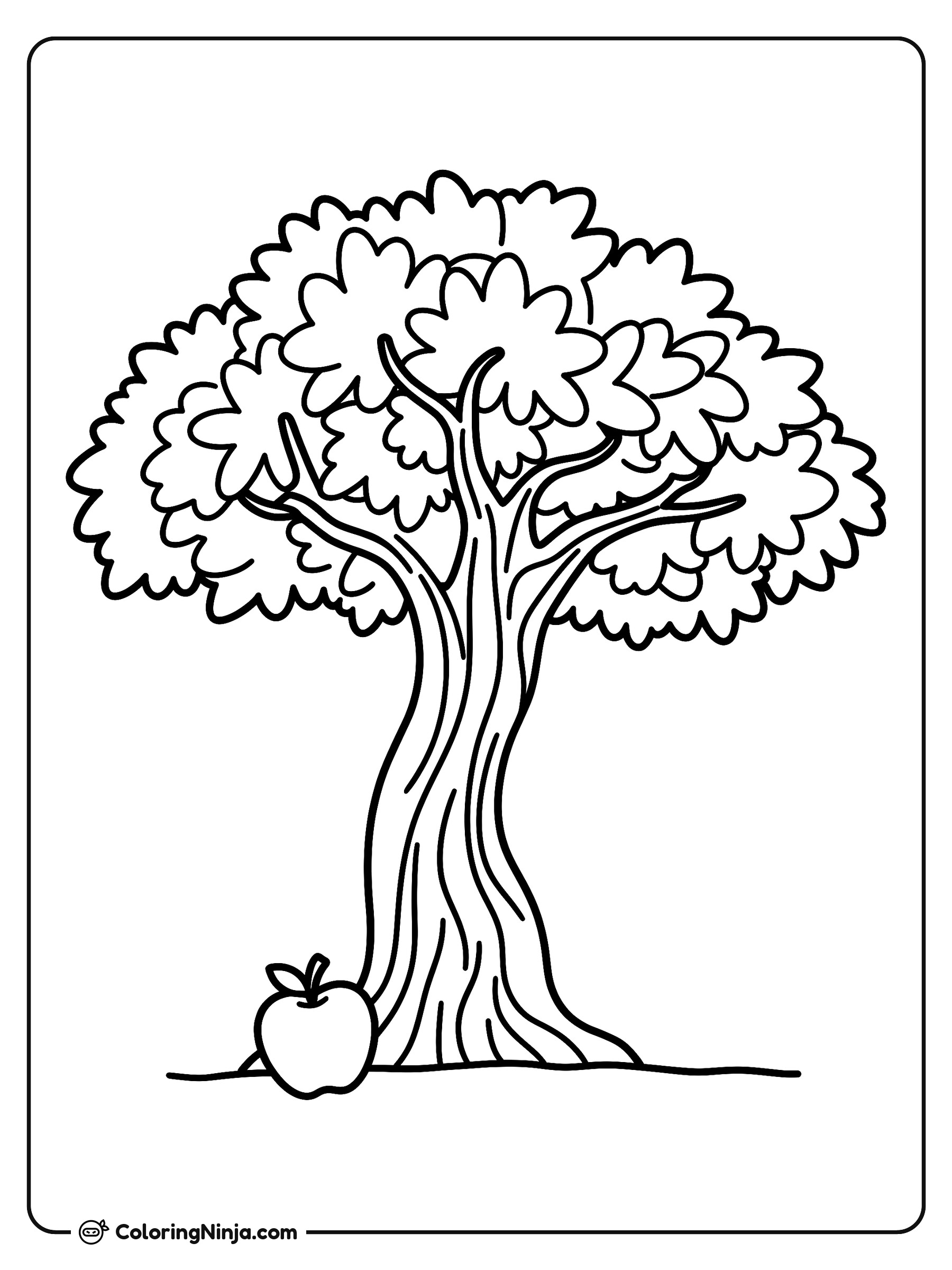 Árbol de higo barbudo: dibujo para colorear