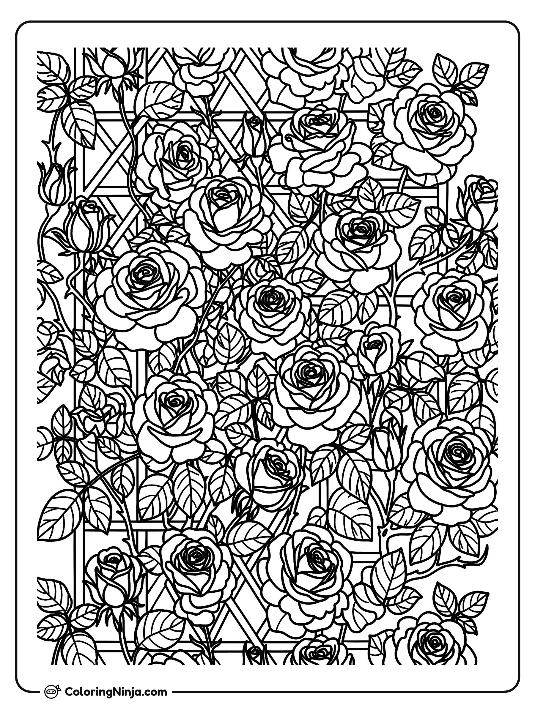 A Beautiful Rose Garden Coloring Page