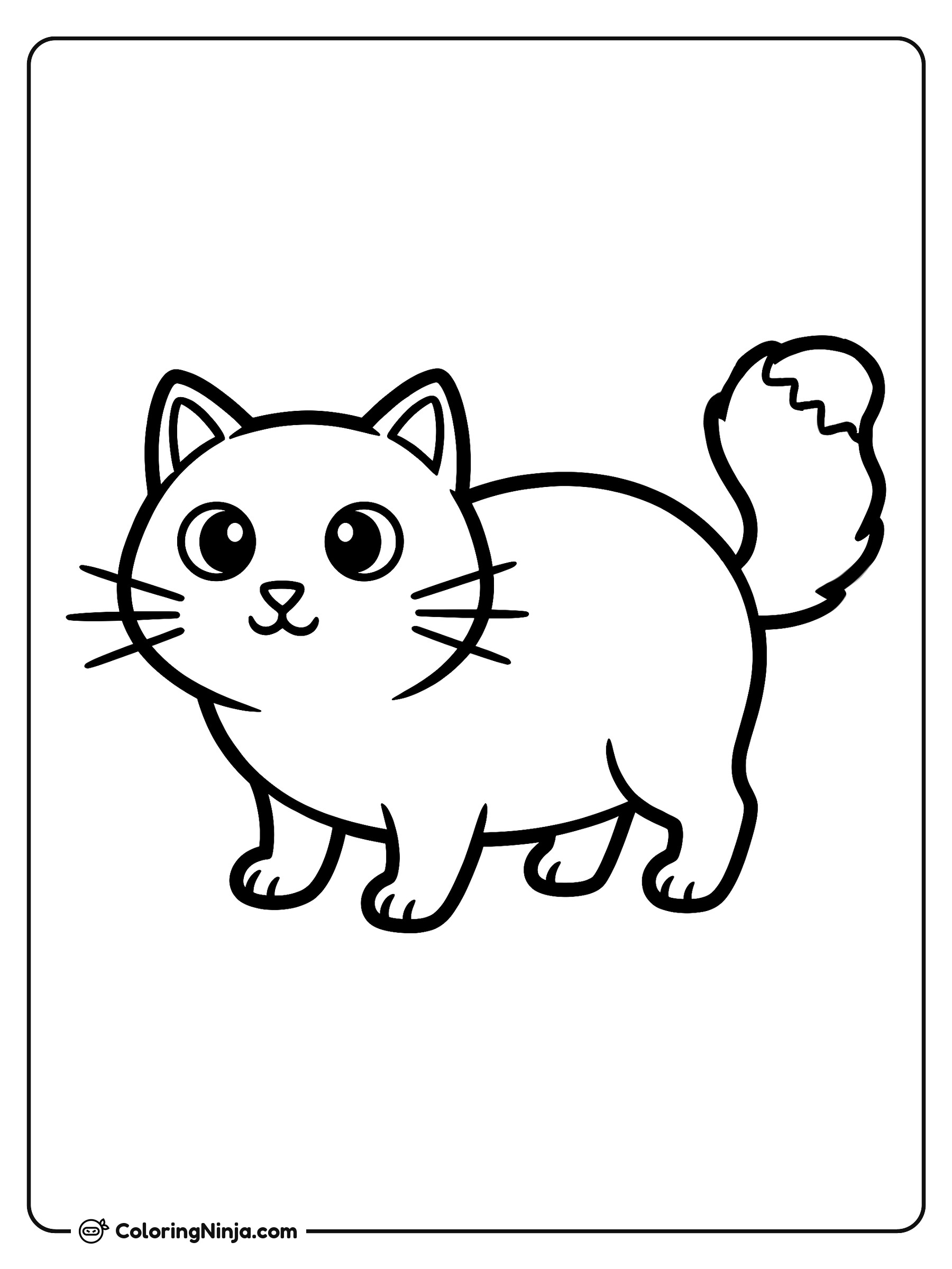Un gato esponjoso y sonriente: dibujo para colorear
