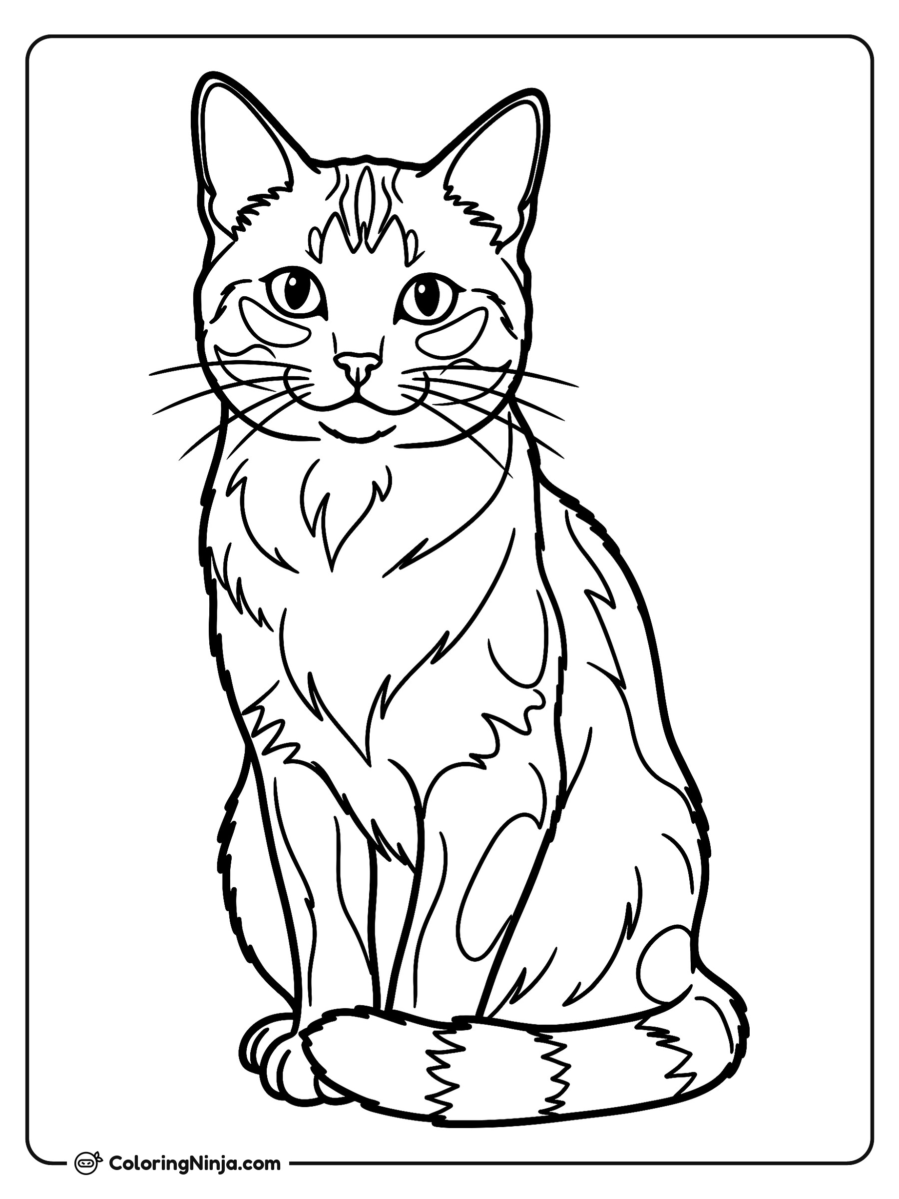 Gato Sentado Mirando al Frente: dibujo para colorear