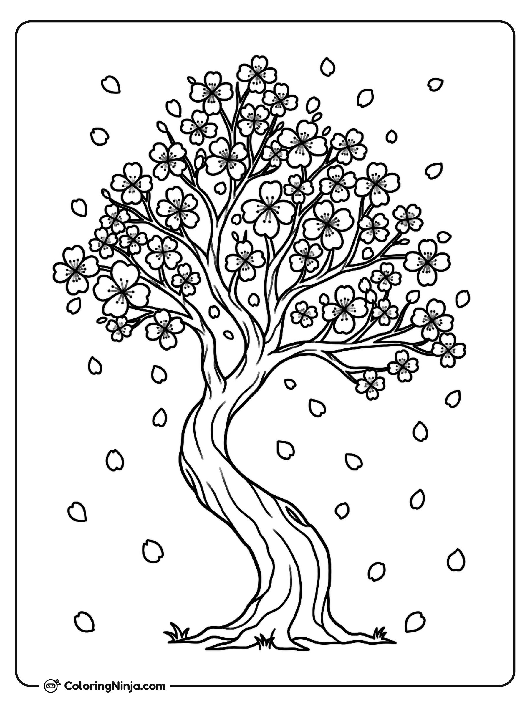 Japanese Cherry Blossom Trees Coloring Page
