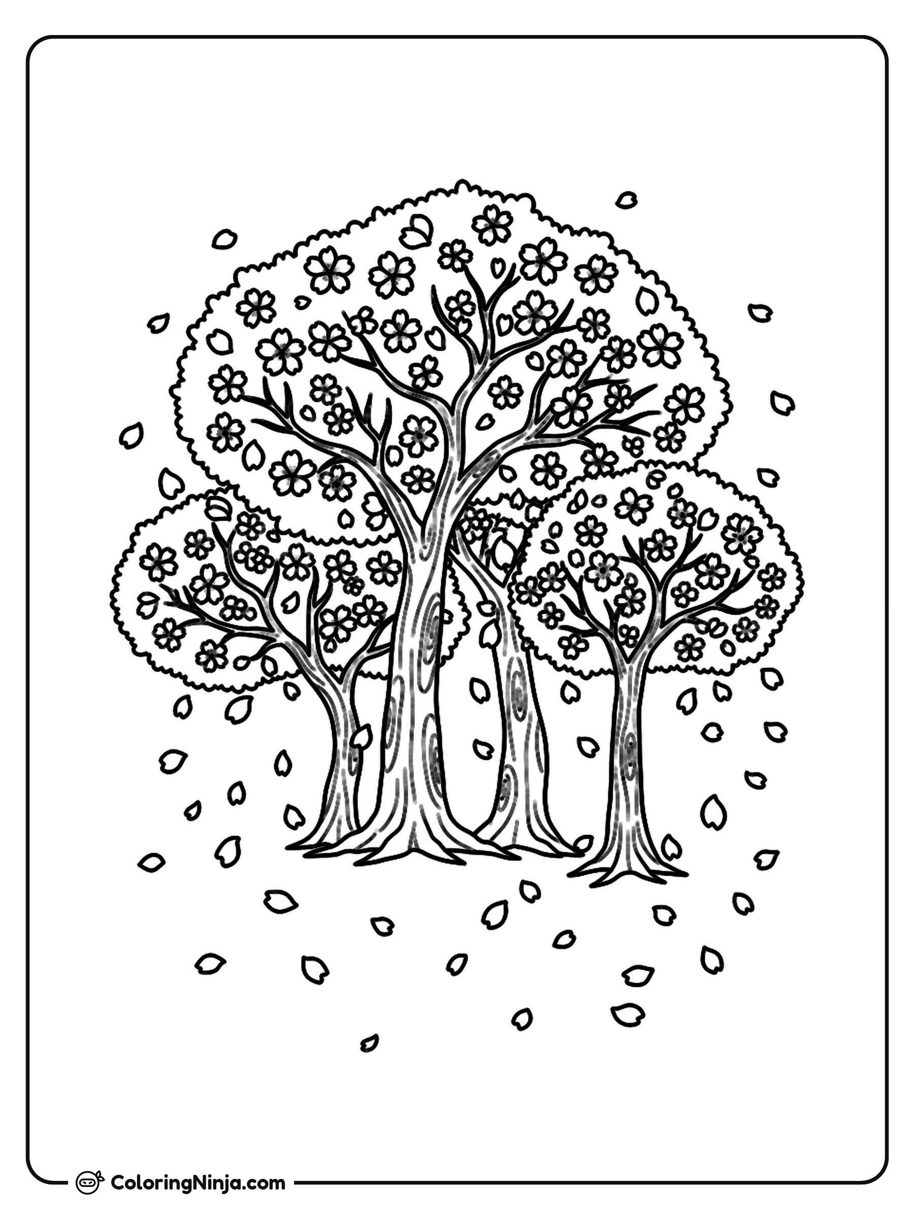 Japanese Cherry Blossom Trees Coloring Page