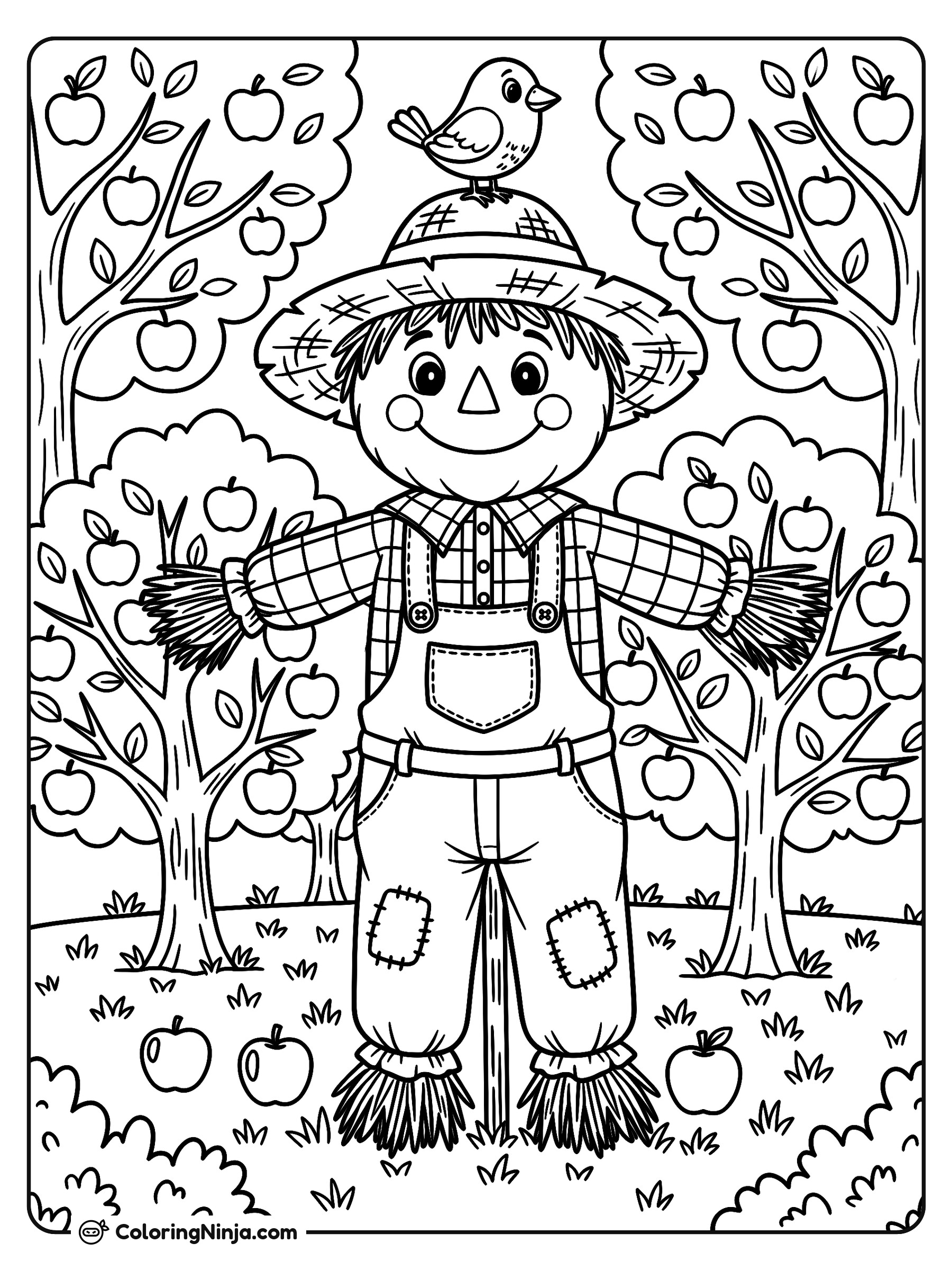 Espantapájaros amigable en el huerto: dibujo para colorear