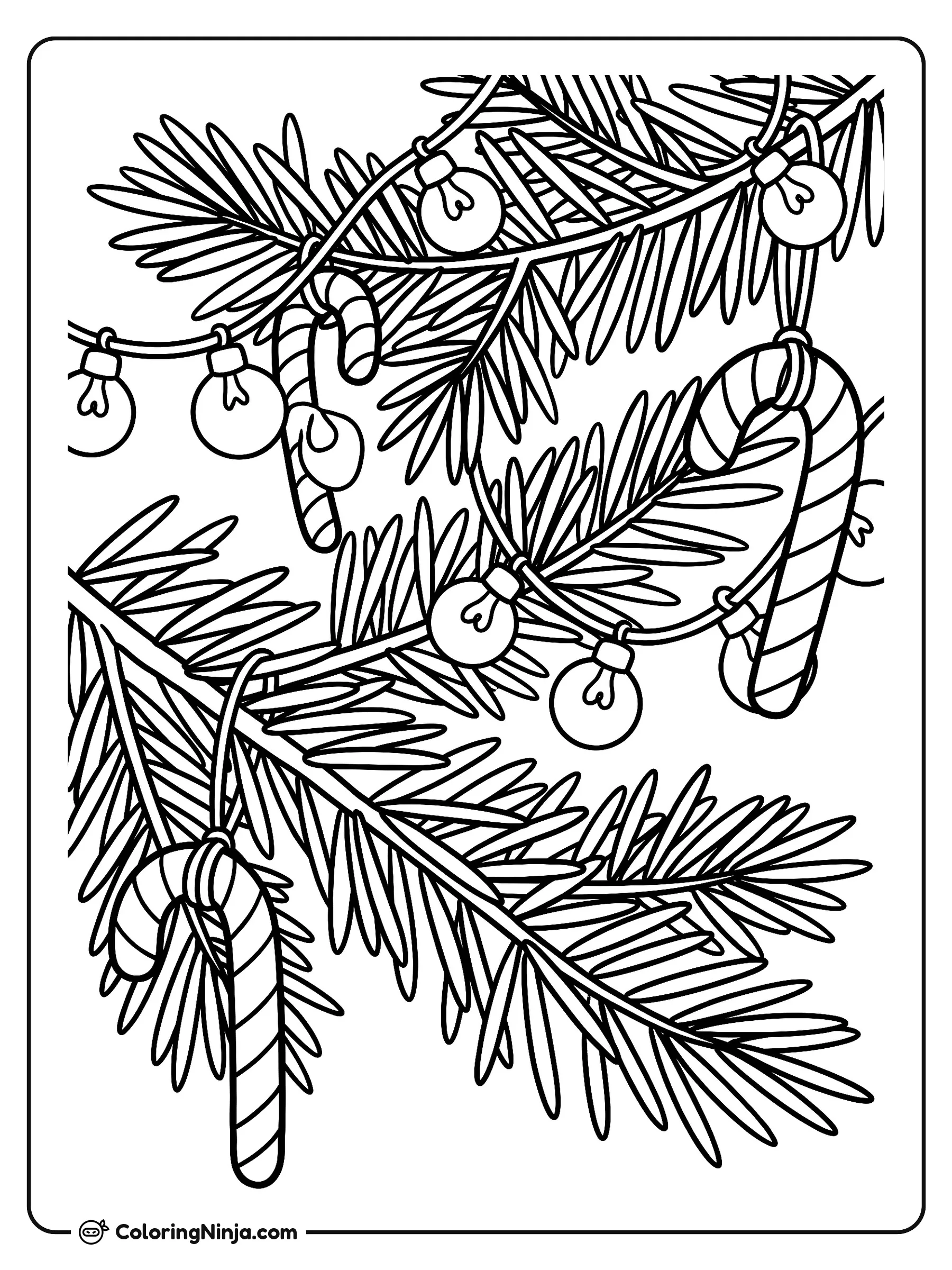Candy Canes and Bright Lights Coloring Page: A close-up view of Christmas tree pine needles adorned with hanging striped candy canes and rounded light bulbs.