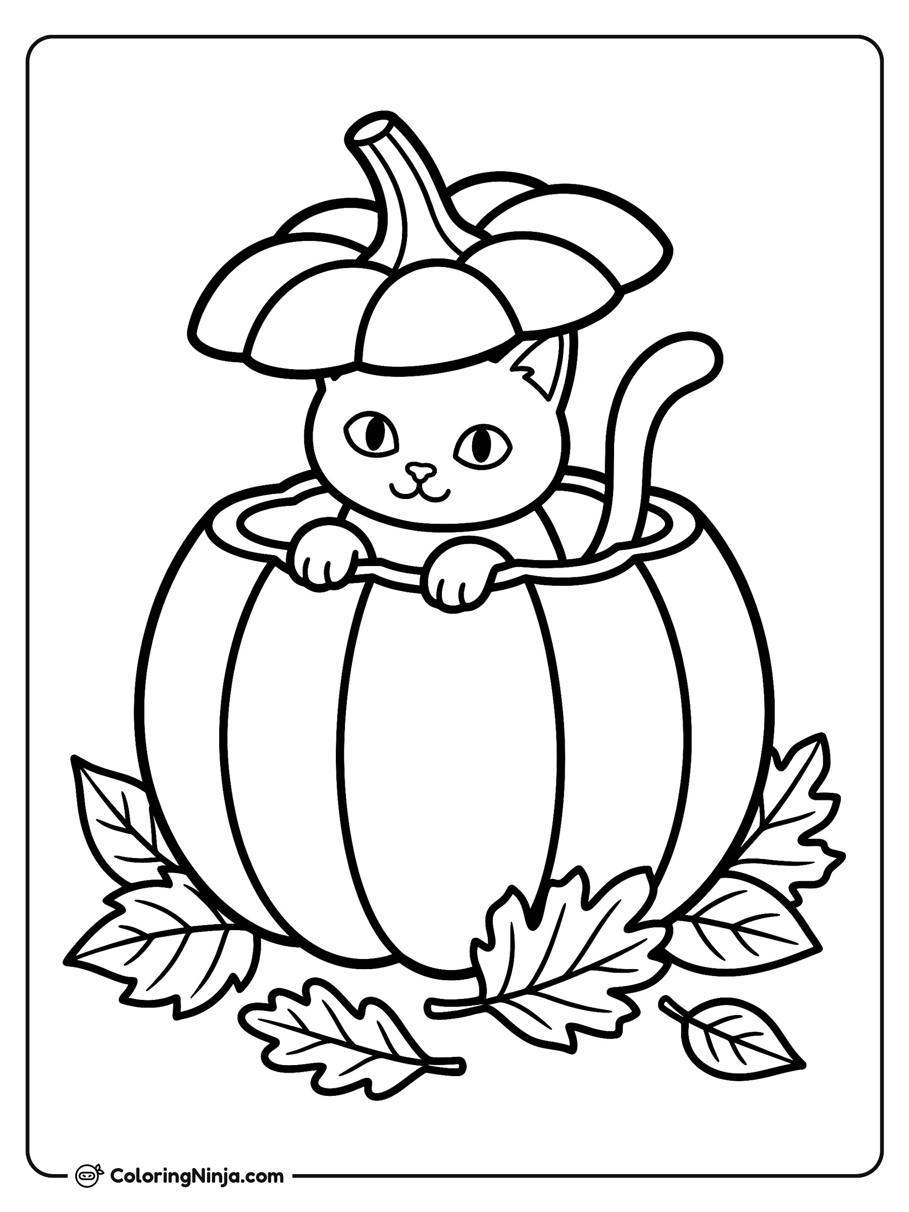 Cat in the Pumpkin Patch Coloring Page