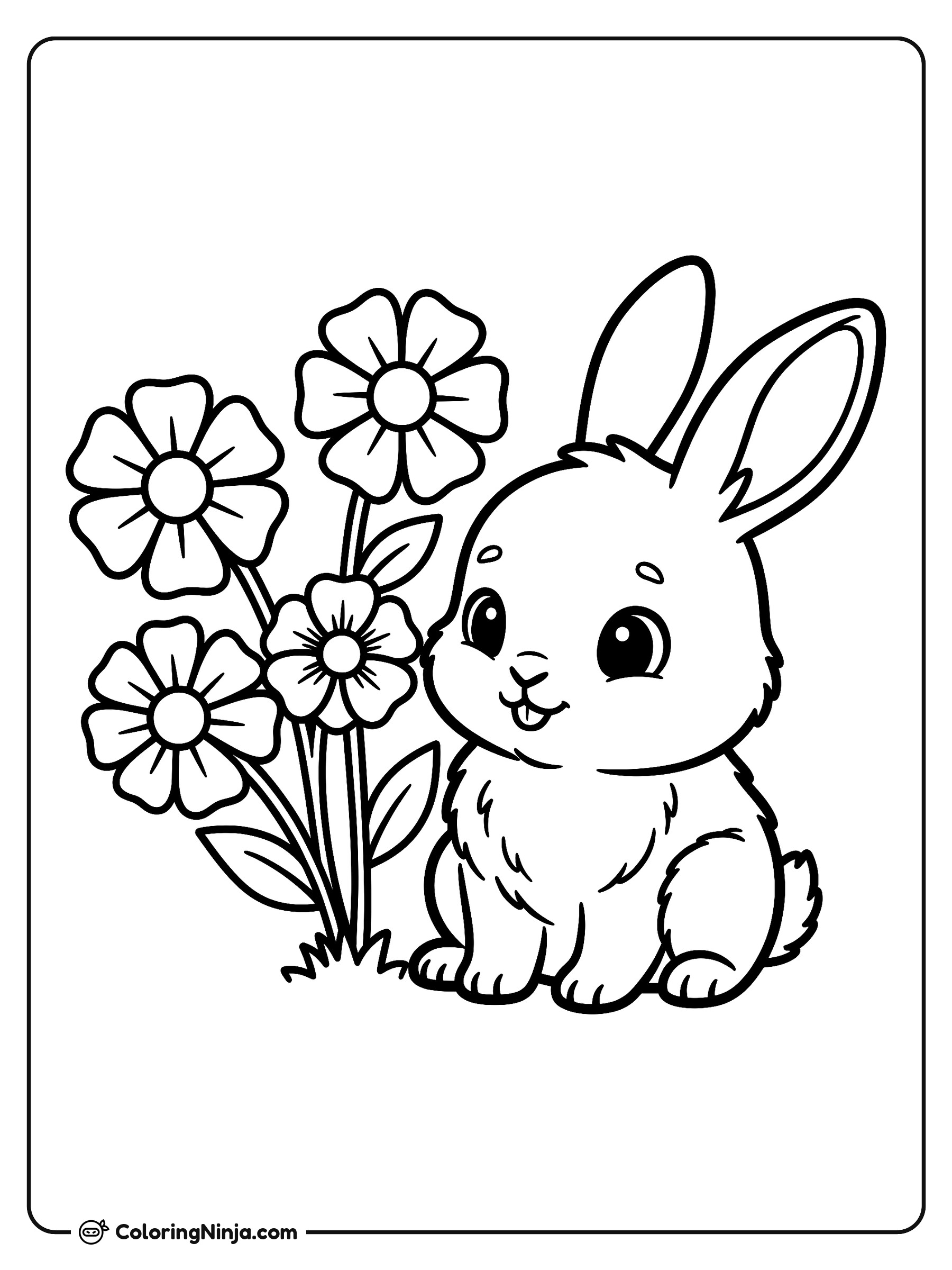 Un tierno conejo bebé: dibujo para colorear