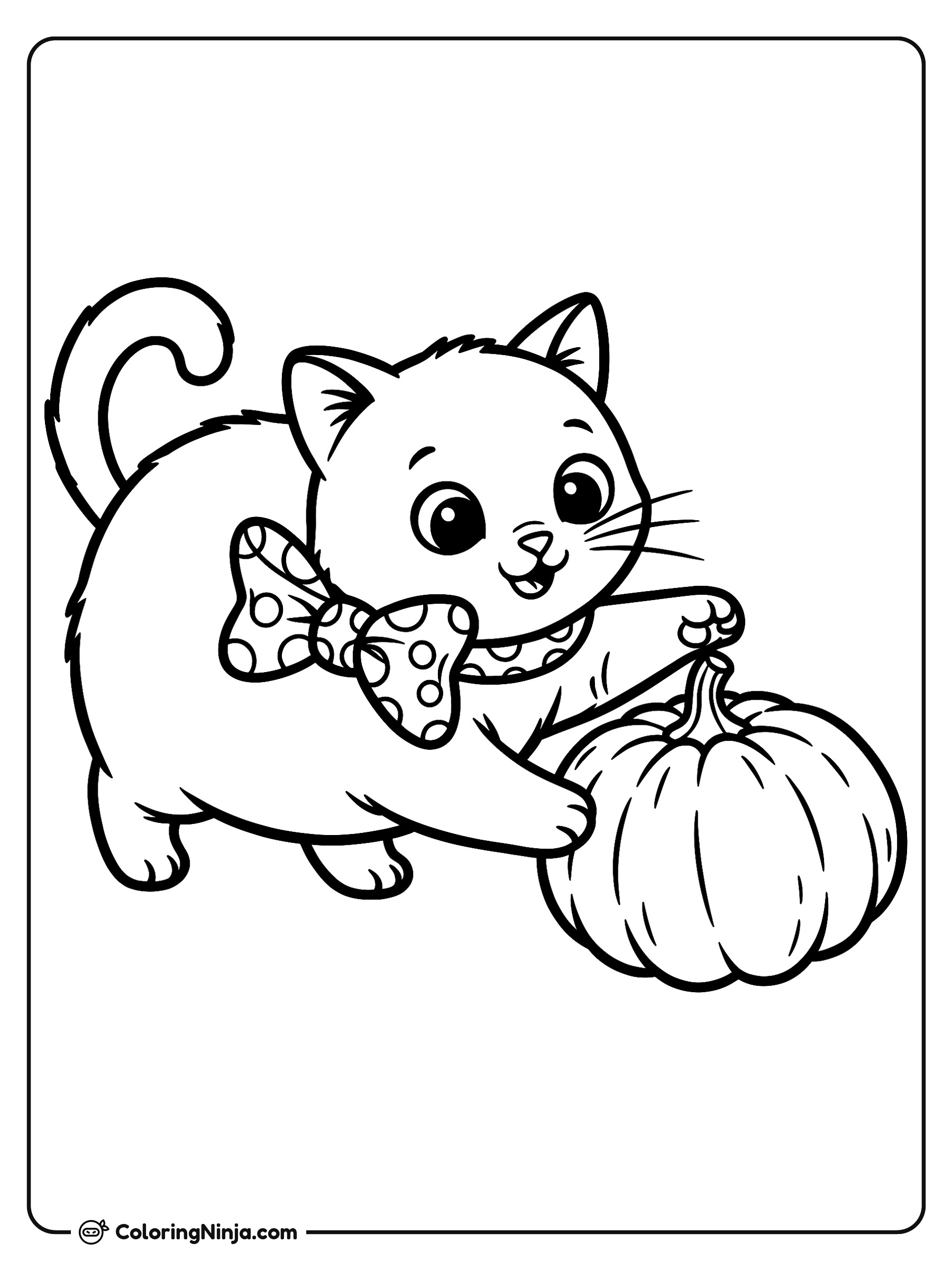Gatito juguetón con una calabaza: dibujo para colorear