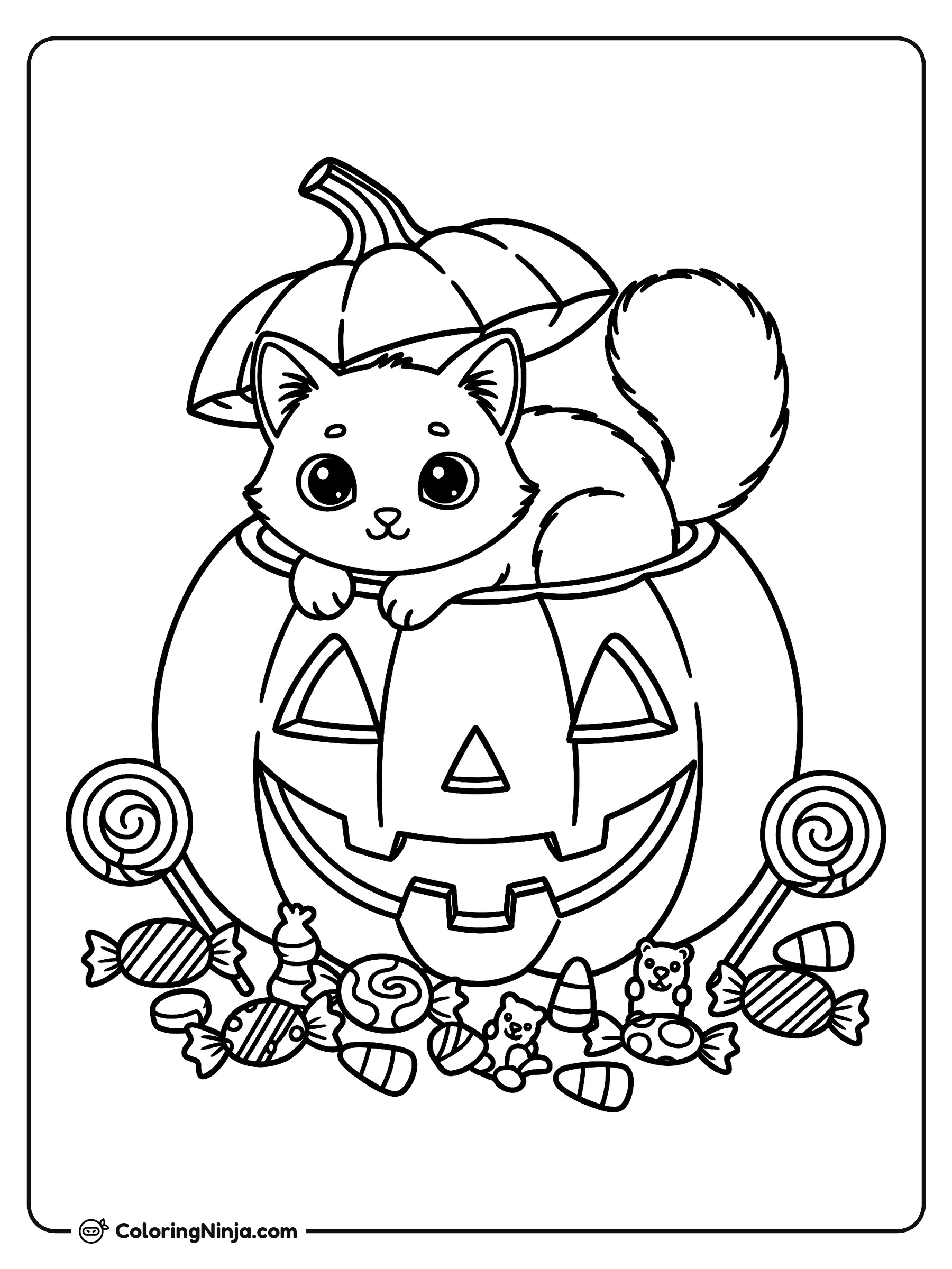 Gato negro dentro de una calabaza: dibujo para colorear