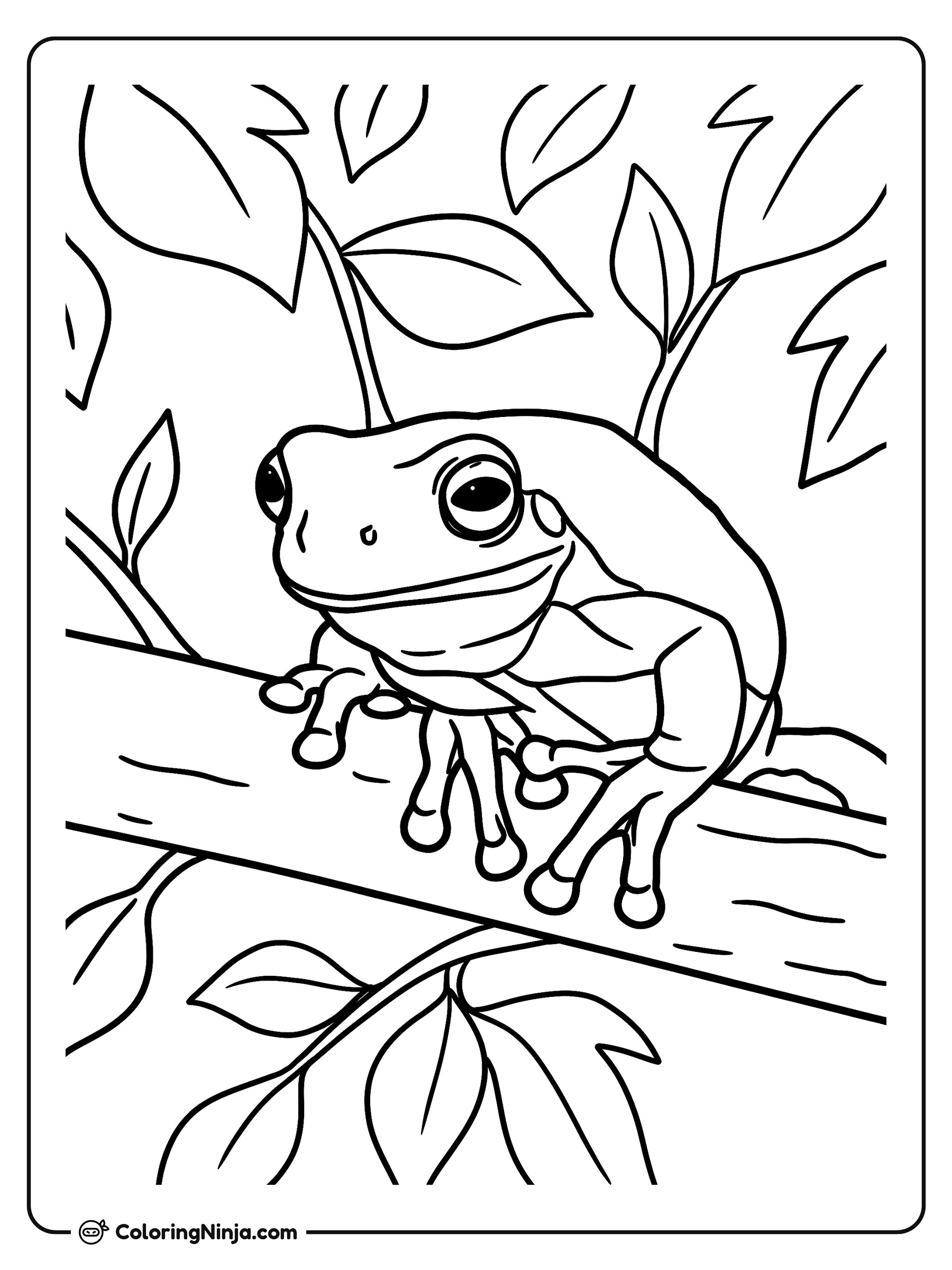 Rana tierna sobre una rama: dibujo para colorear