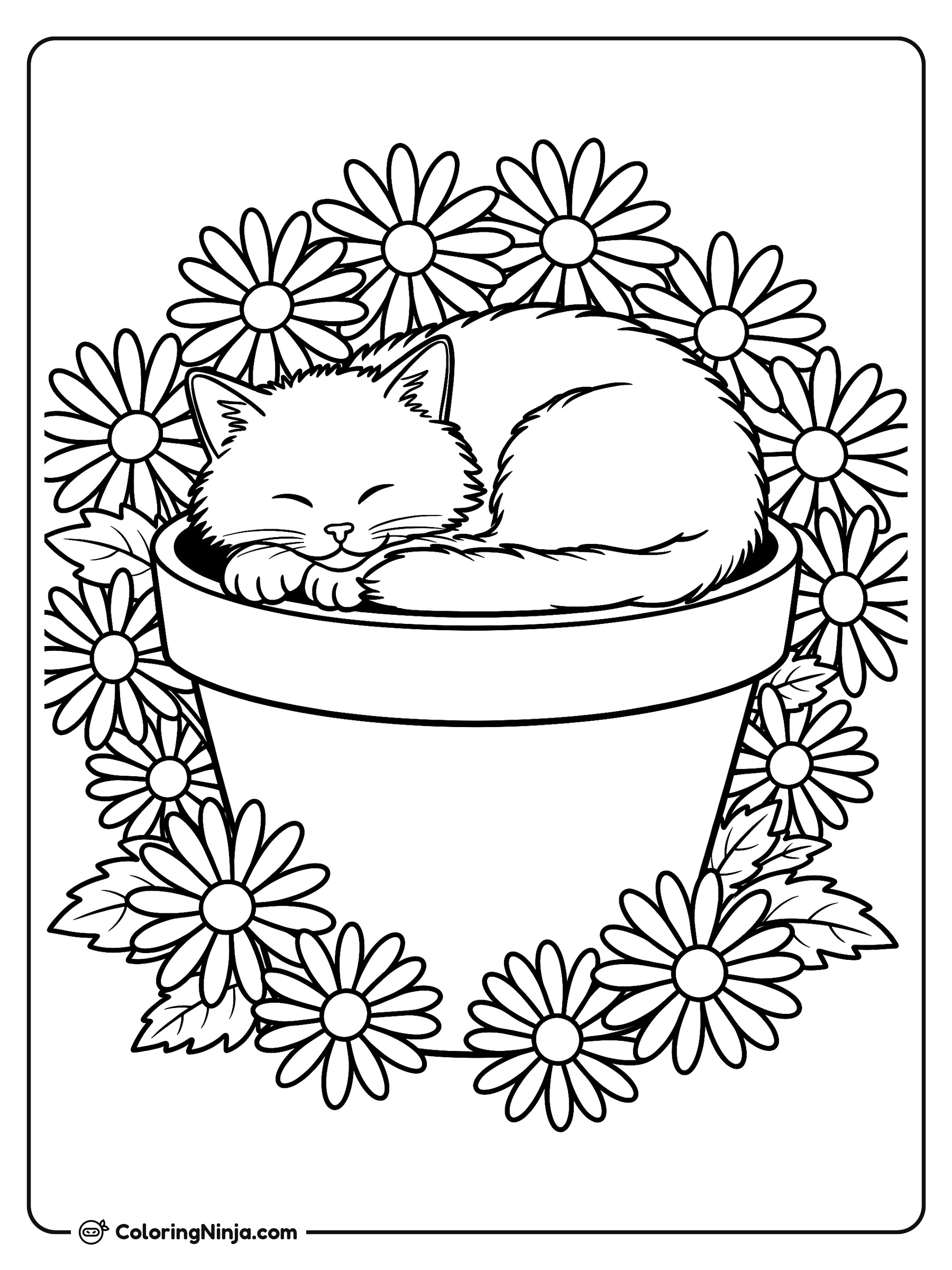 Gatito acurrucado en el jardín: dibujo para colorear