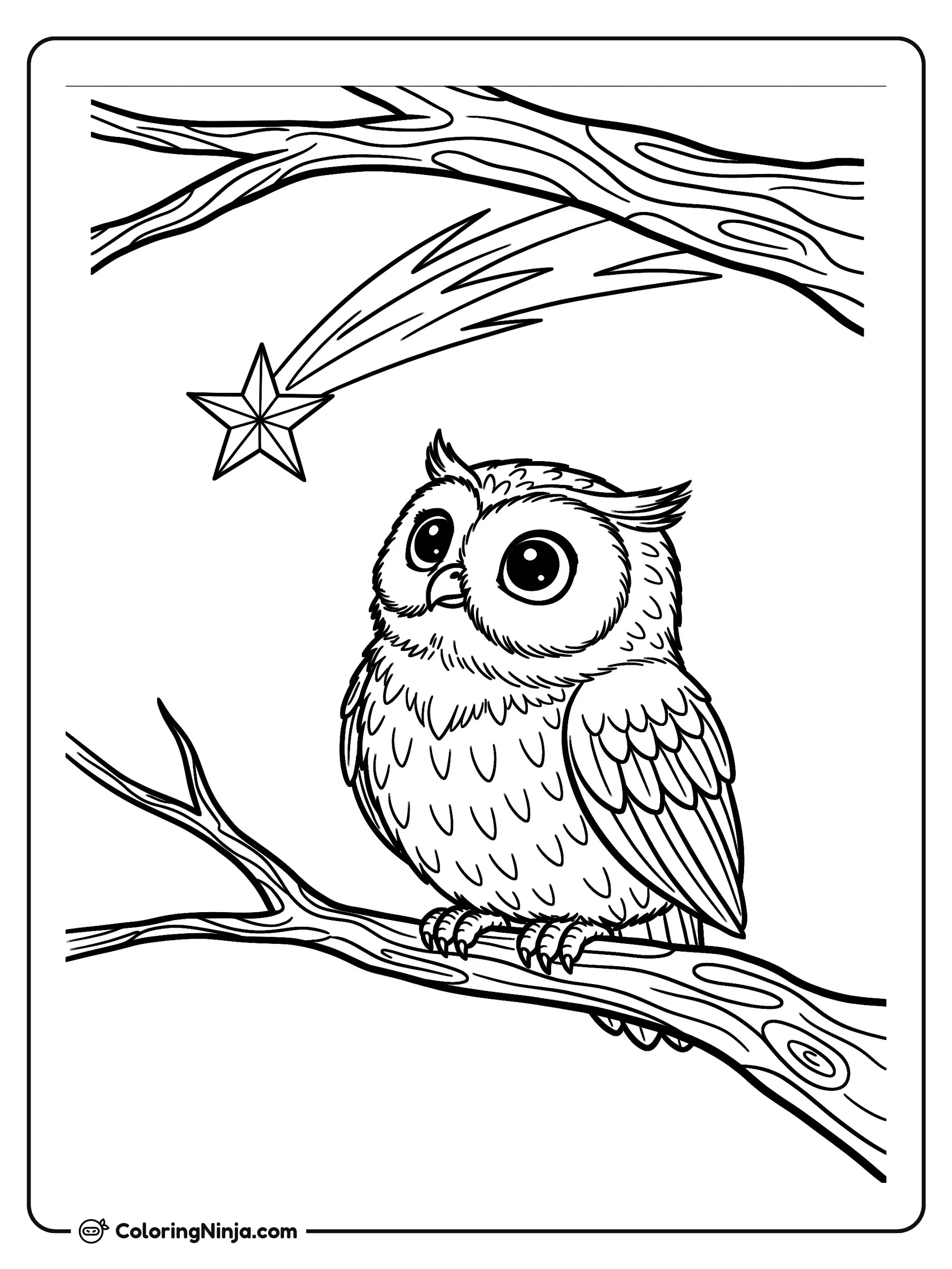 Búho nocturno y estrella fugaz, dibujo para colorear: Un búho de ojos grandes descansa tranquilamente sobre la rama de un árbol mientras contempla el cielo nocturno.