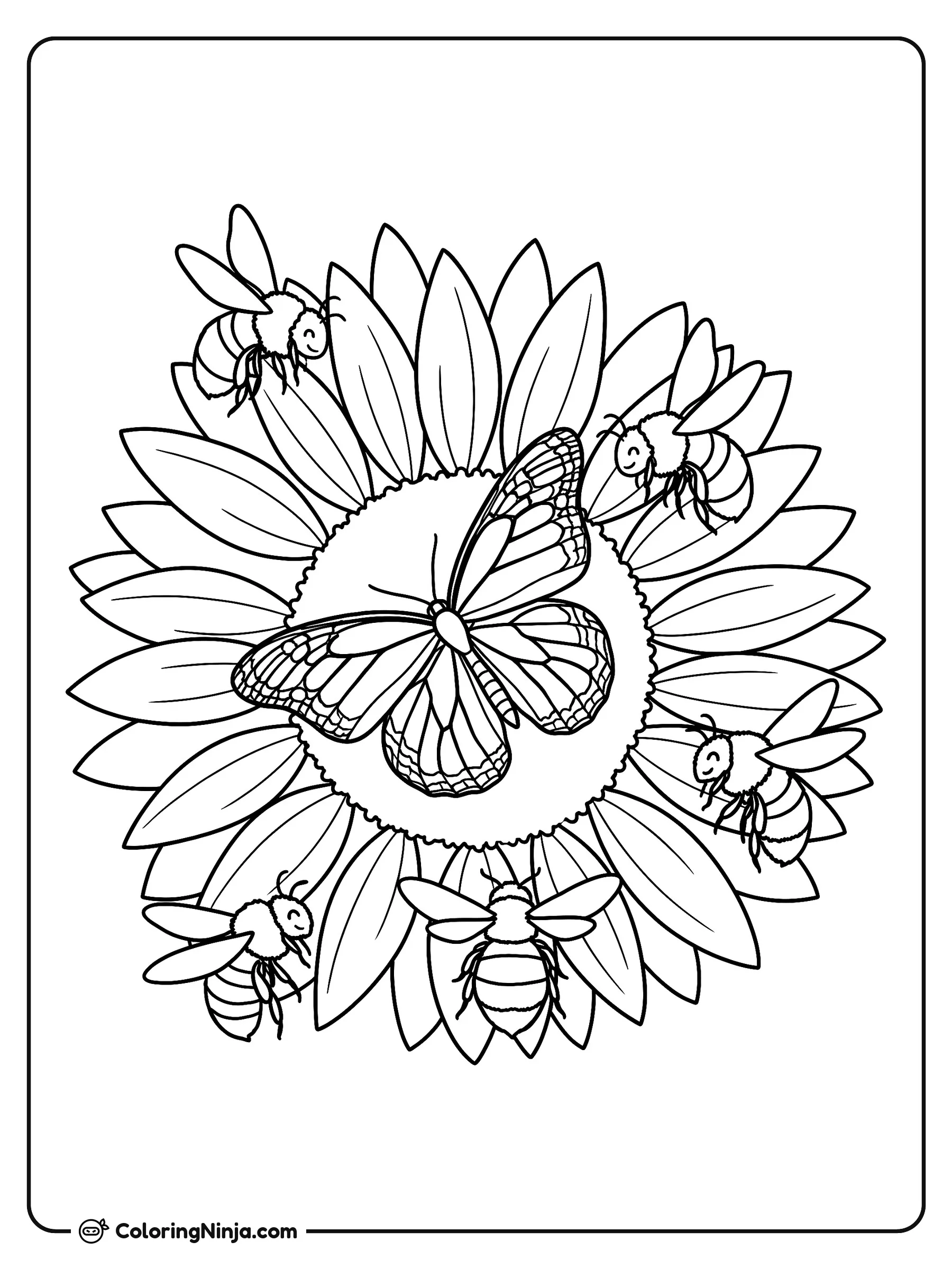 Mariposa primaveral en un girasol, dibujo para colorear: Una gran mariposa de primavera descansa en el centro de un amplio girasol rodeado de múltiples pétalos.