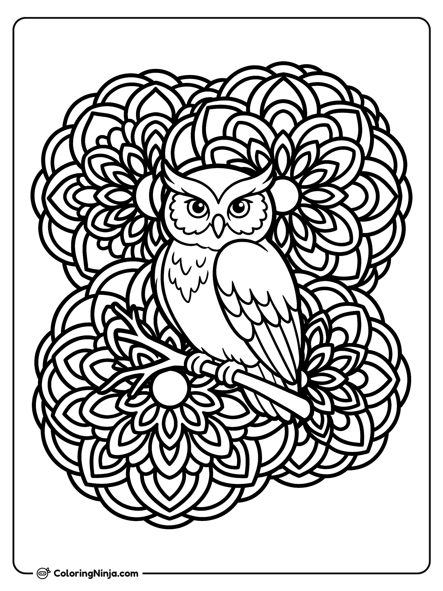 Wisdom Owl Floral Mandala Coloring Page