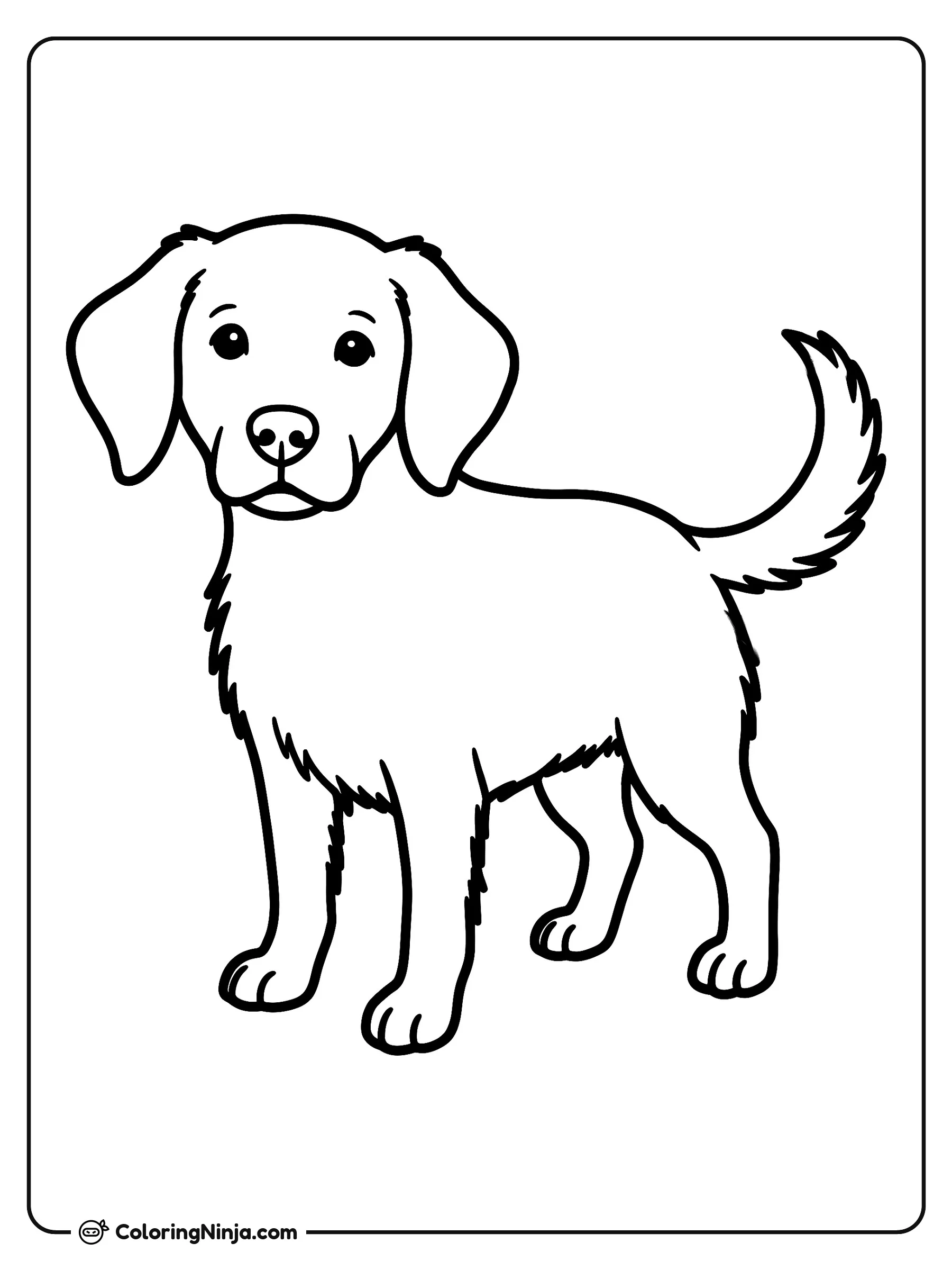 Perro Amigable De Pie Mirando Hacia Adelante, dibujo para colorear: Un simpático perro permanece sobre sus cuatro patas mirando al frente con orejas caídas y la cola erguida.