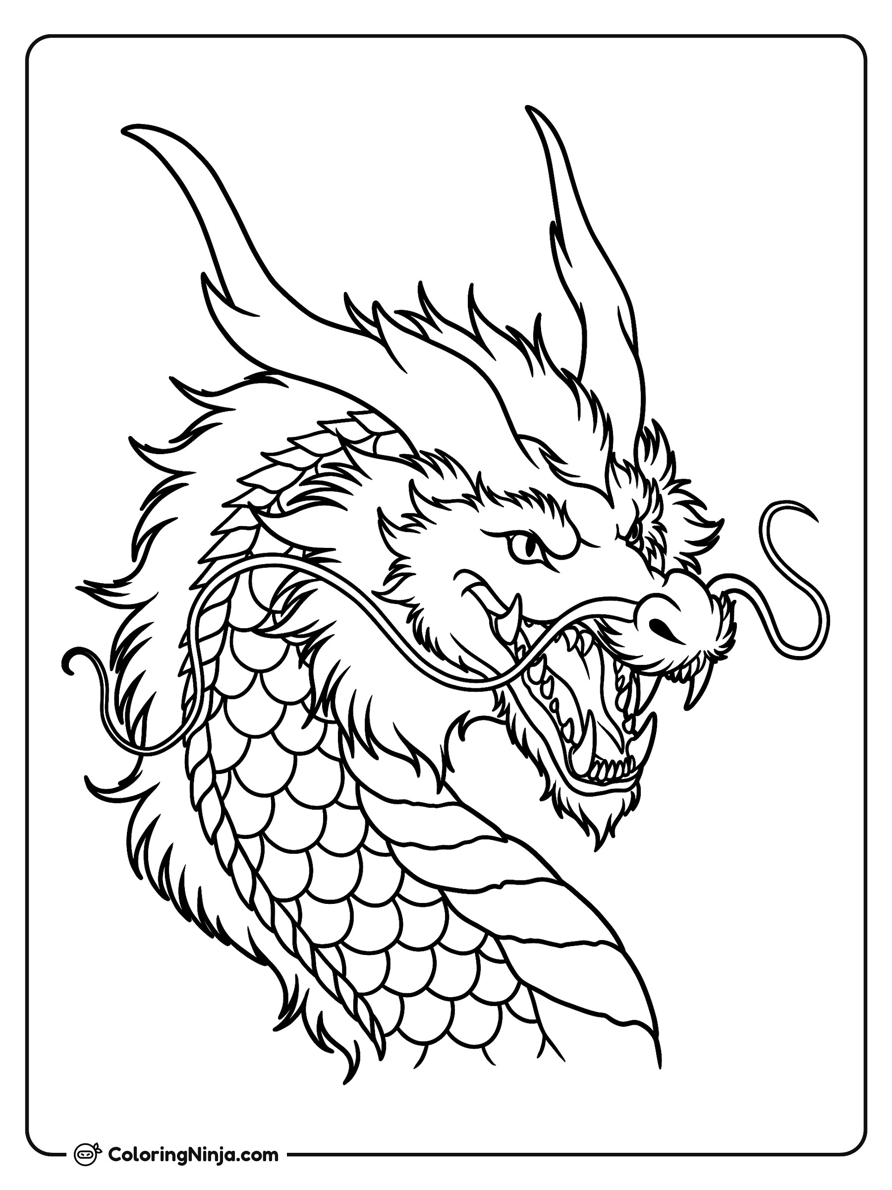 Primer plano de cabeza de dragón: dibujo para colorear