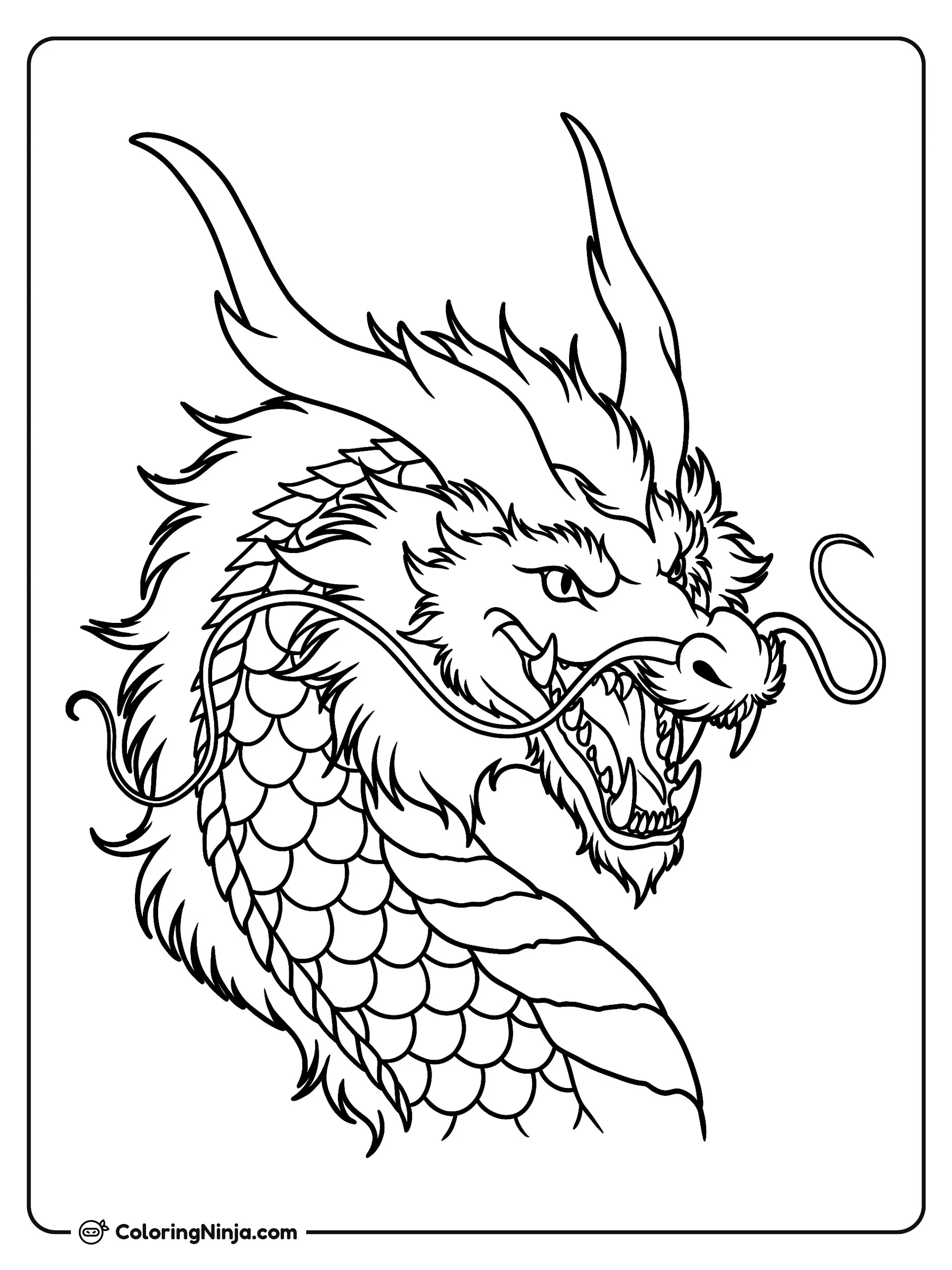 Primer plano de cabeza de dragón, dibujo para colorear: Un poderoso dragón muestra sus grandes cuernos curvados, su melena de pelaje y detalladas escamas en el cuello.