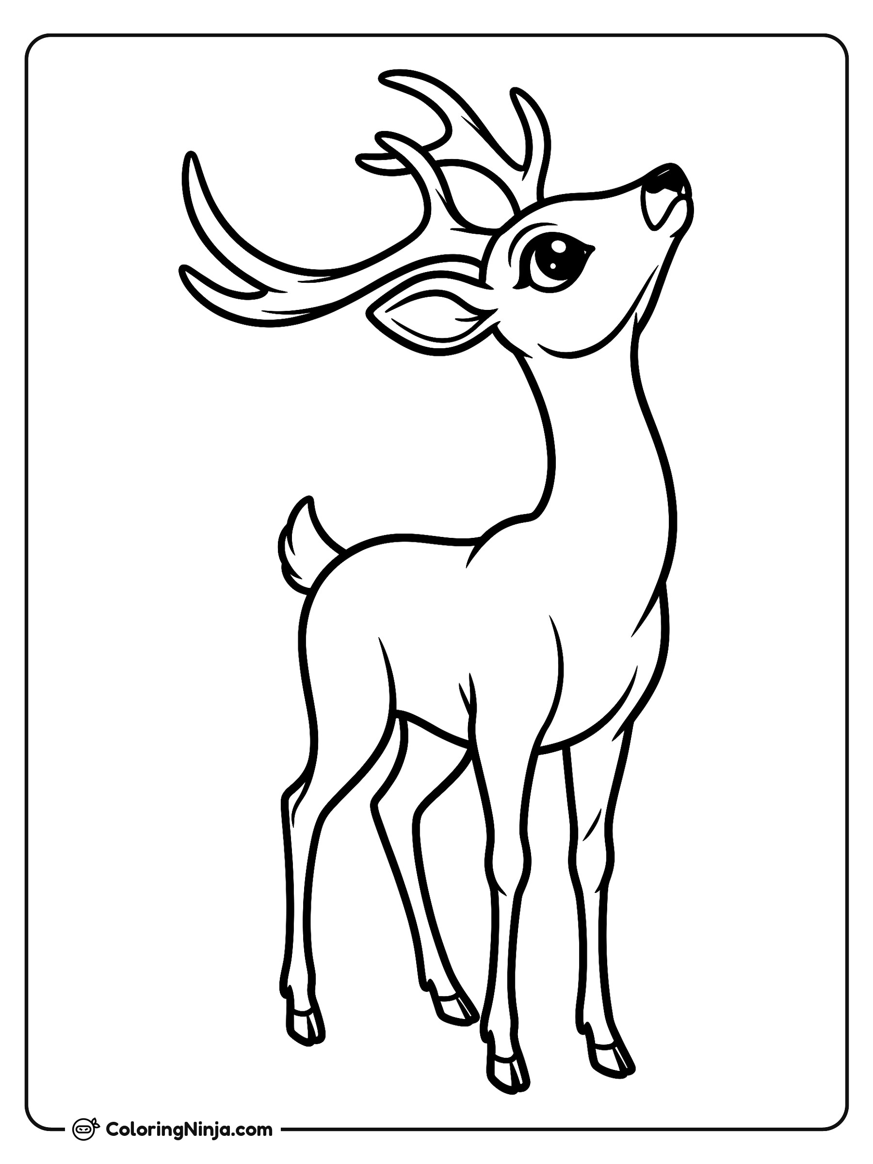 Ciervo elegante mirando al cielo: dibujo para colorear