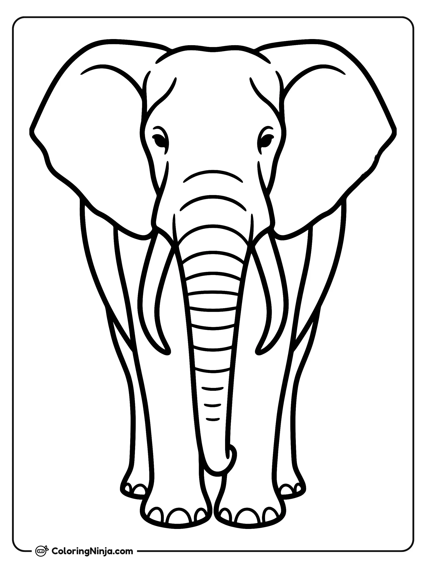 Retrato de elefante de frente, dibujo para colorear: Un majestuoso elefante posa de frente mostrando sus grandes orejas desplegadas, sus colmillos curvos y su larga trompa.