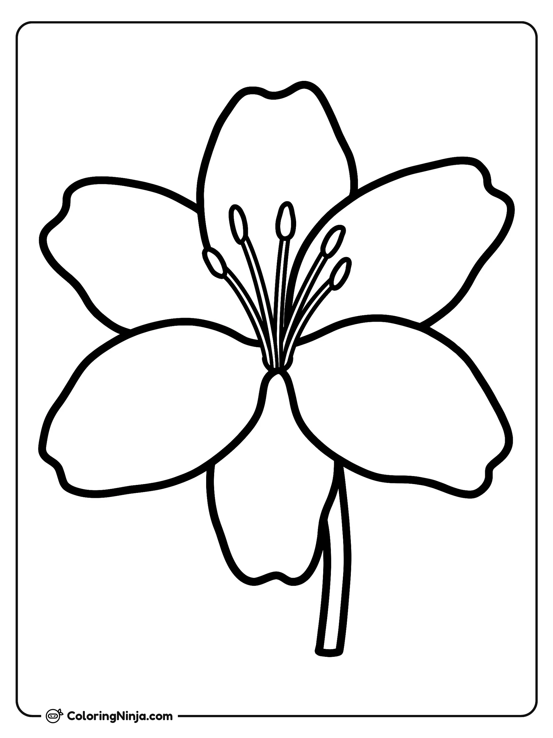 Una flor grande con pétalos, dibujo para colorear: Una flor centrada se alza sobre un tallo corto y sencillo. Sus pétalos grandes y redondeados se abren desde el centro, rodeando varios estambres delicados.