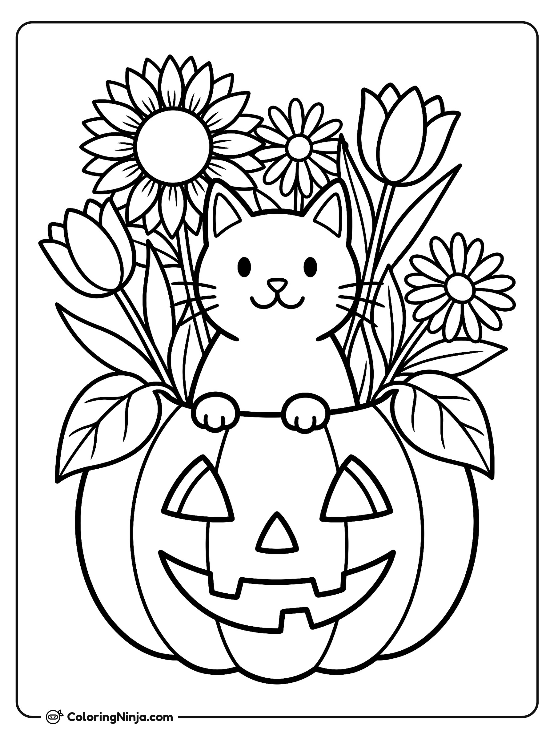 Curious Cat in a Pumpkin Coloring Page