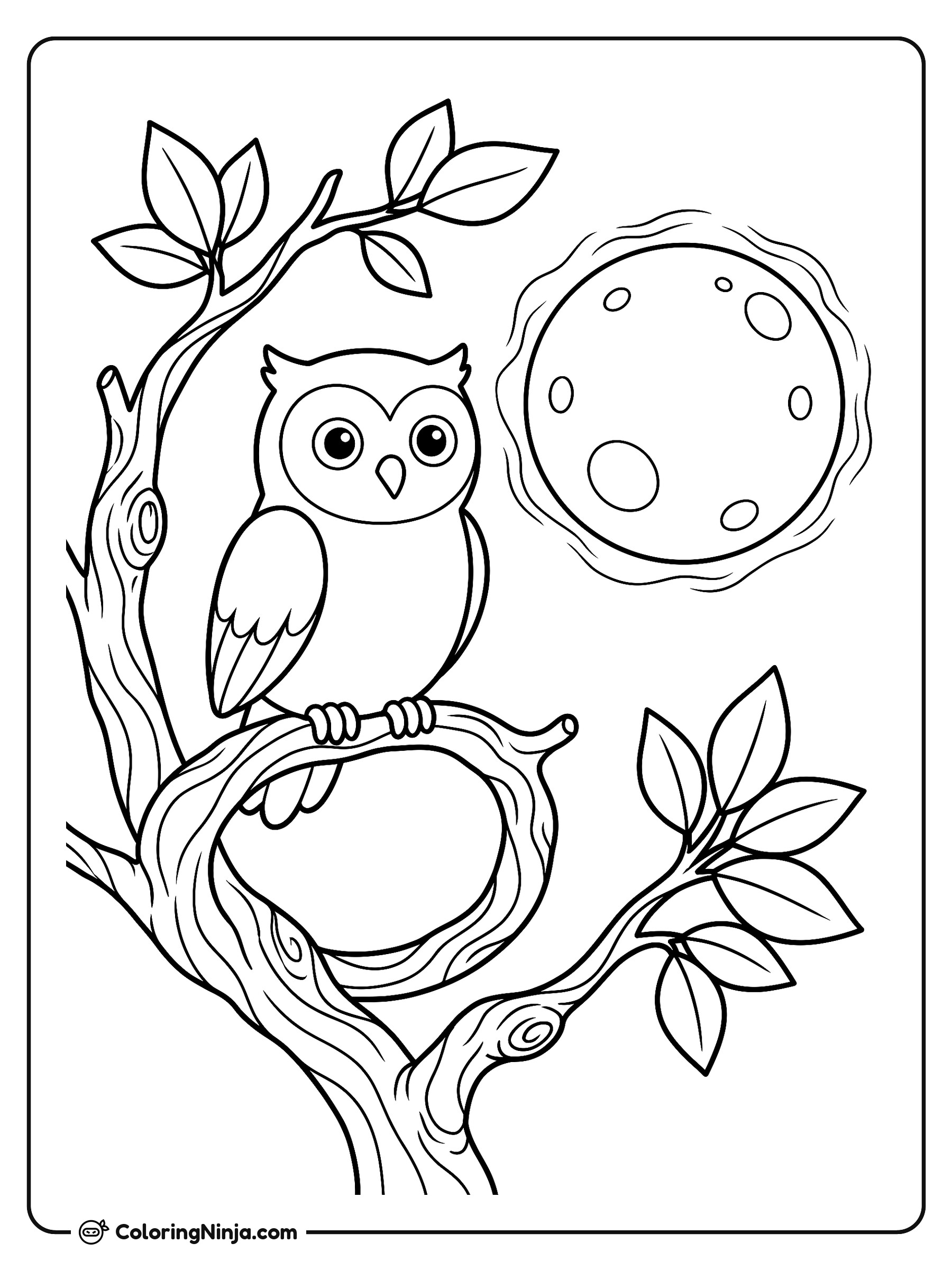 Night Owl on a Branch Coloring Page