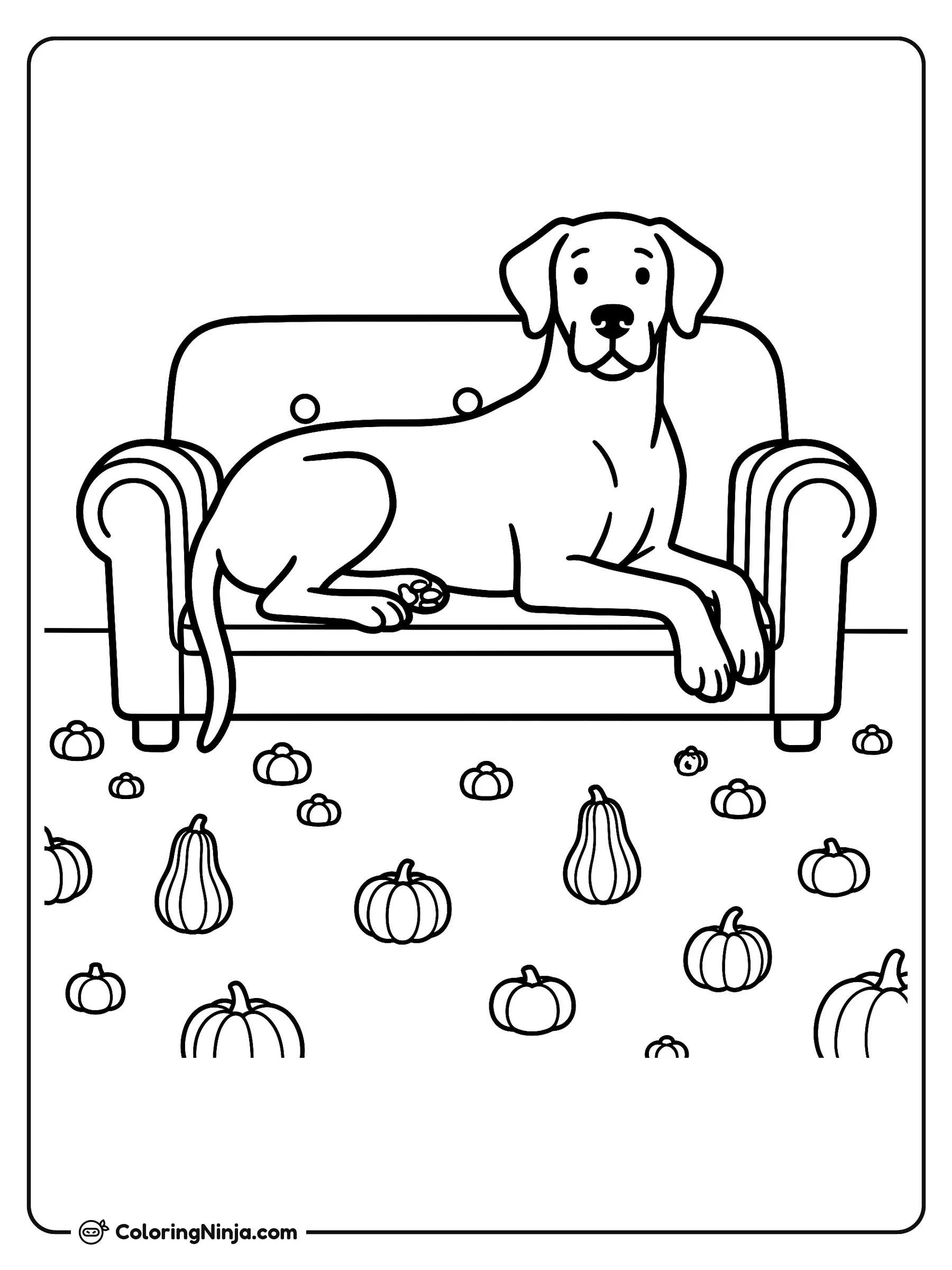 Gran danés descansando en el sofá, dibujo para colorear: Un tranquilo perro gran danés descansa cómodamente sobre un amplio sofá acolchado, mirando hacia el frente.