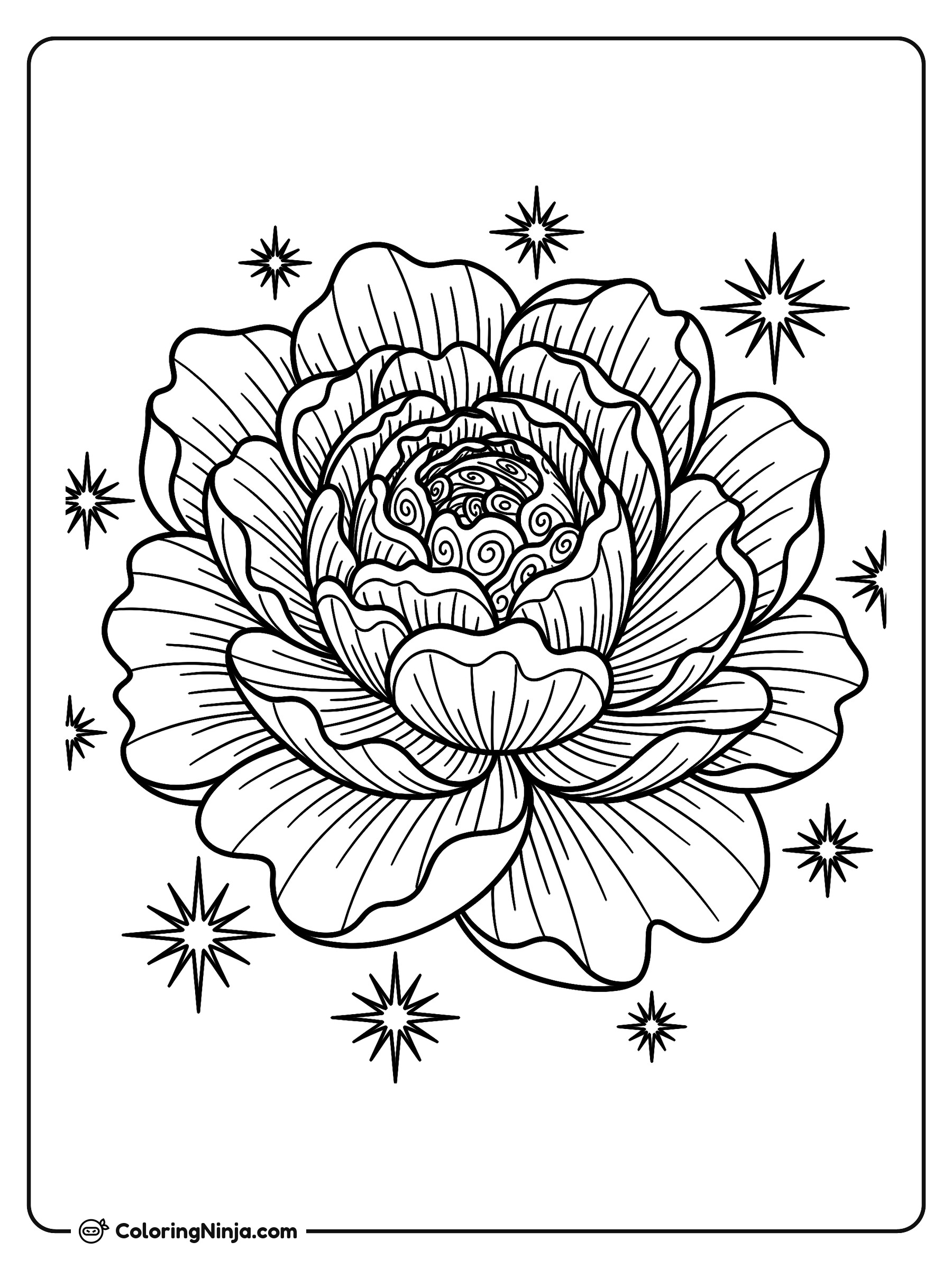 Flor Radiante con Destellos Mágicos: dibujo para colorear
