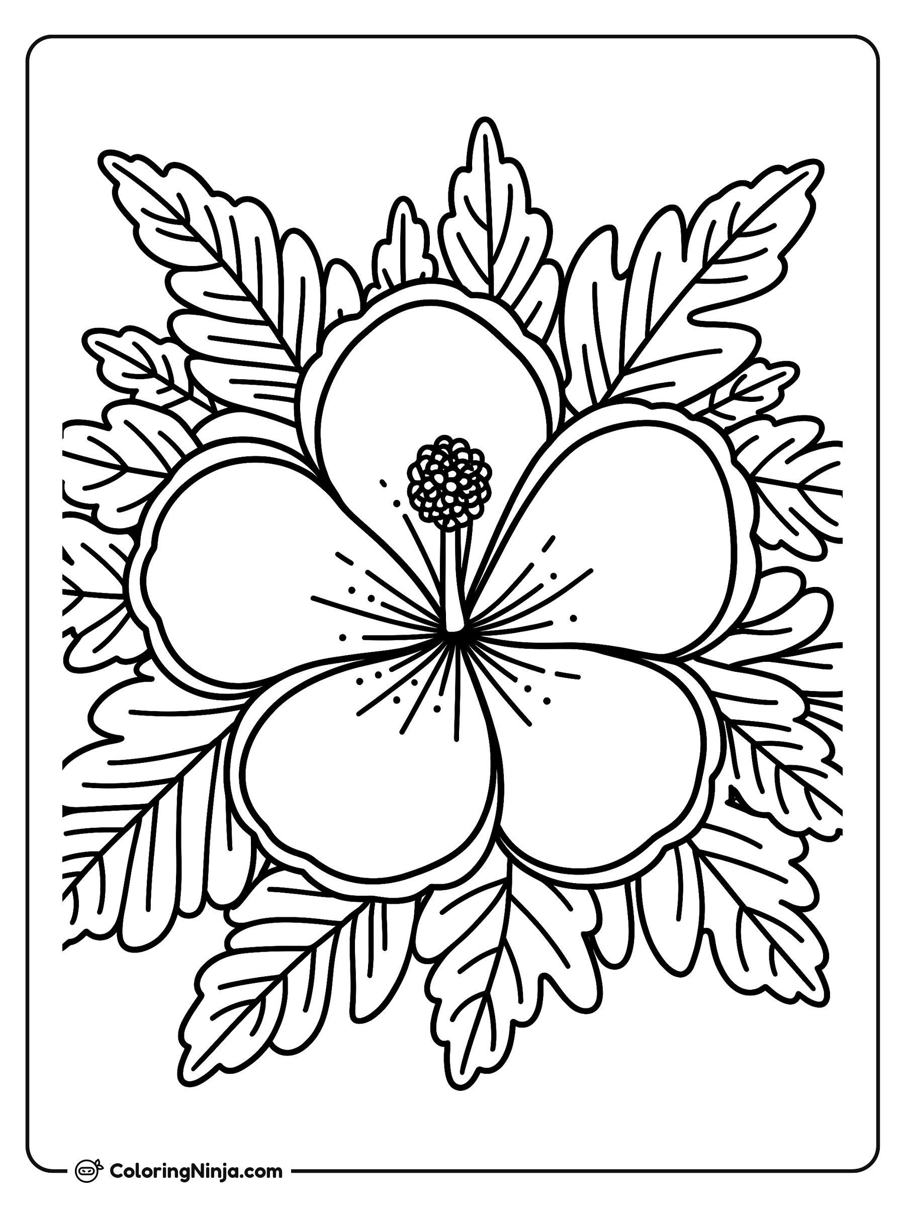 Flor de hibisco, protea y palmeras: dibujo para colorear