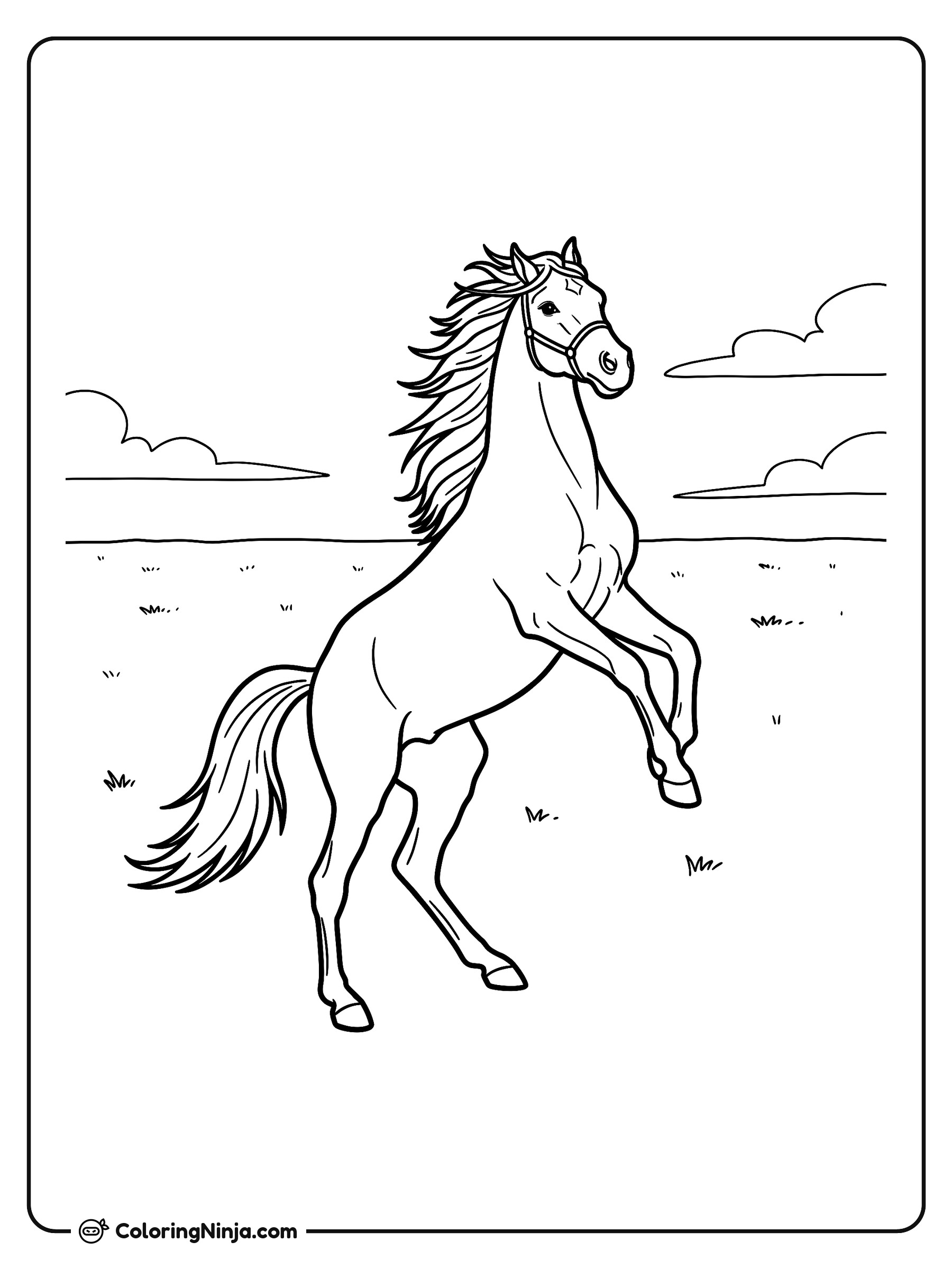Caballo erguido en un campo abierto: dibujo para colorear