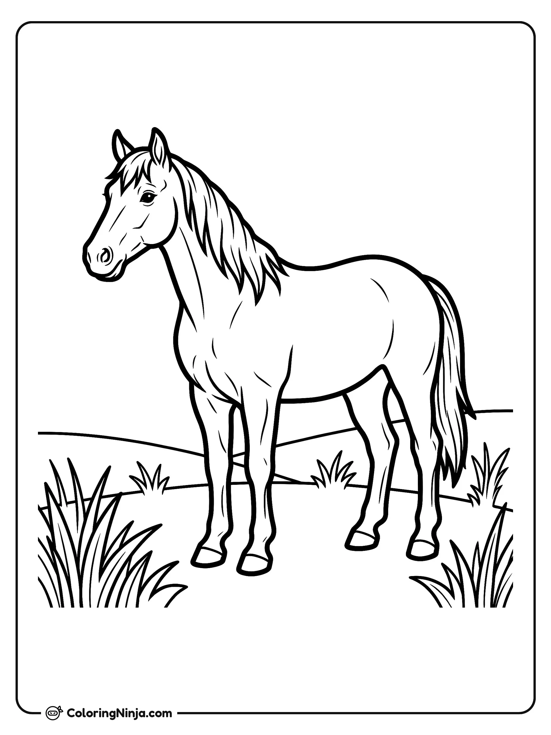 Caballo majestuoso en el campo, dibujo para colorear: Un hermoso caballo permanece de pie con calma en un campo abierto rodeado de pasto y suaves colinas.
