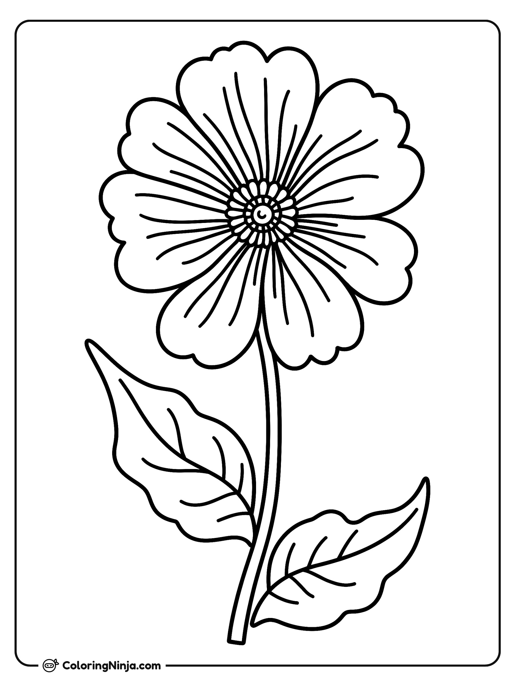 Flor de algodón de seda: dibujo para colorear
