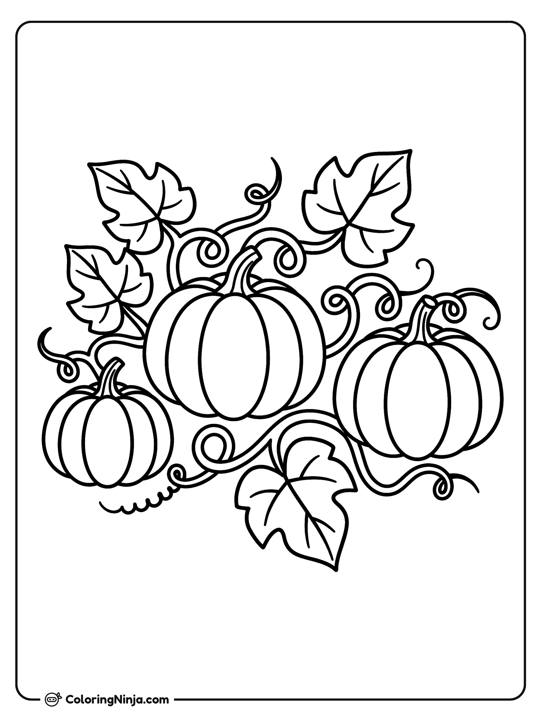 Campo de calabazas minimalista: dibujo para colorear