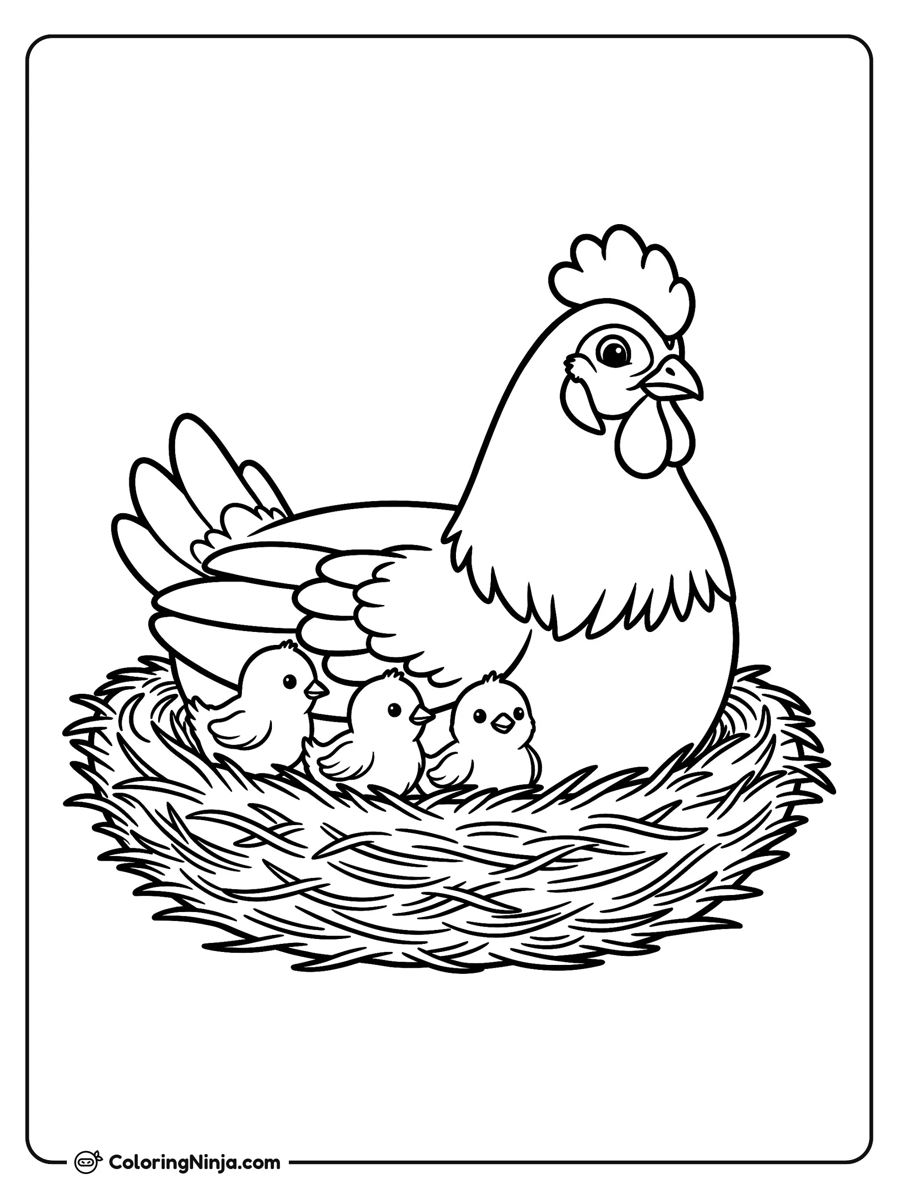Mamá gallina y sus pollitos, dibujo para colorear: Una mamá gallina descansa cómodamente en un nido de paja junto a sus tres pequeñitos. Los pollitos se acurrucan a su lado mientras ella los cuida con cariño.