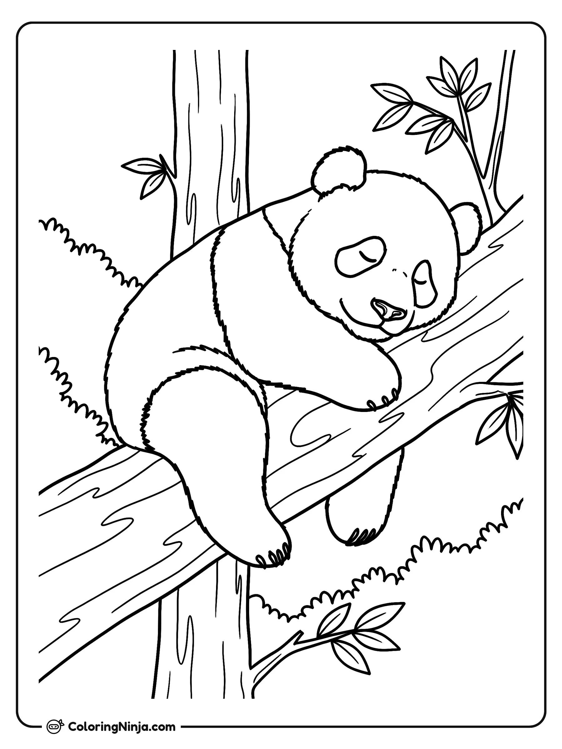 Panda durmiendo en la rama de un árbol, dibujo para colorear: Un tierno panda duerme plácidamente sobre una gran rama rodeada de hojas de bambú y vegetación.