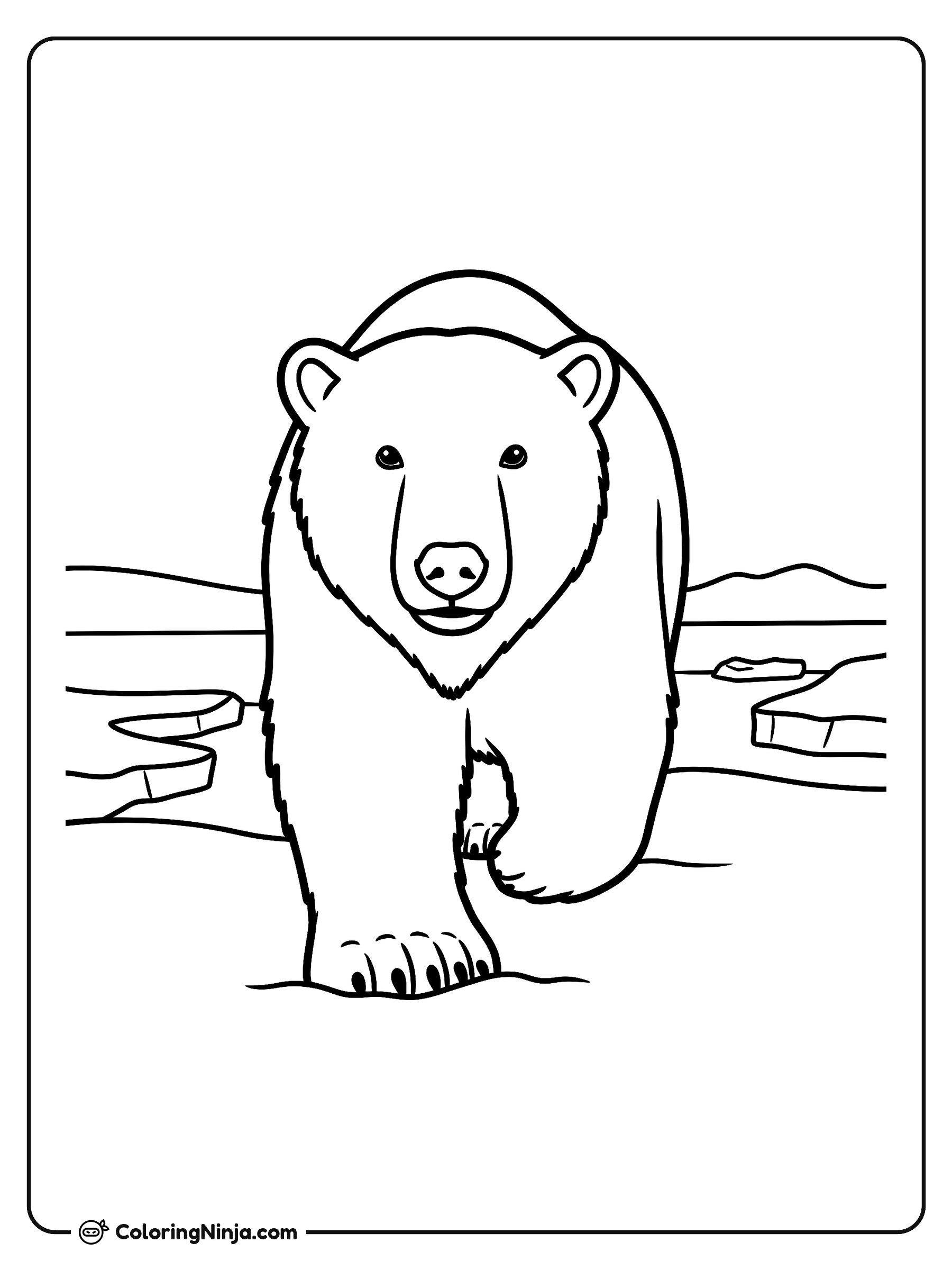 Oso polar pisando la nieve: dibujo para colorear