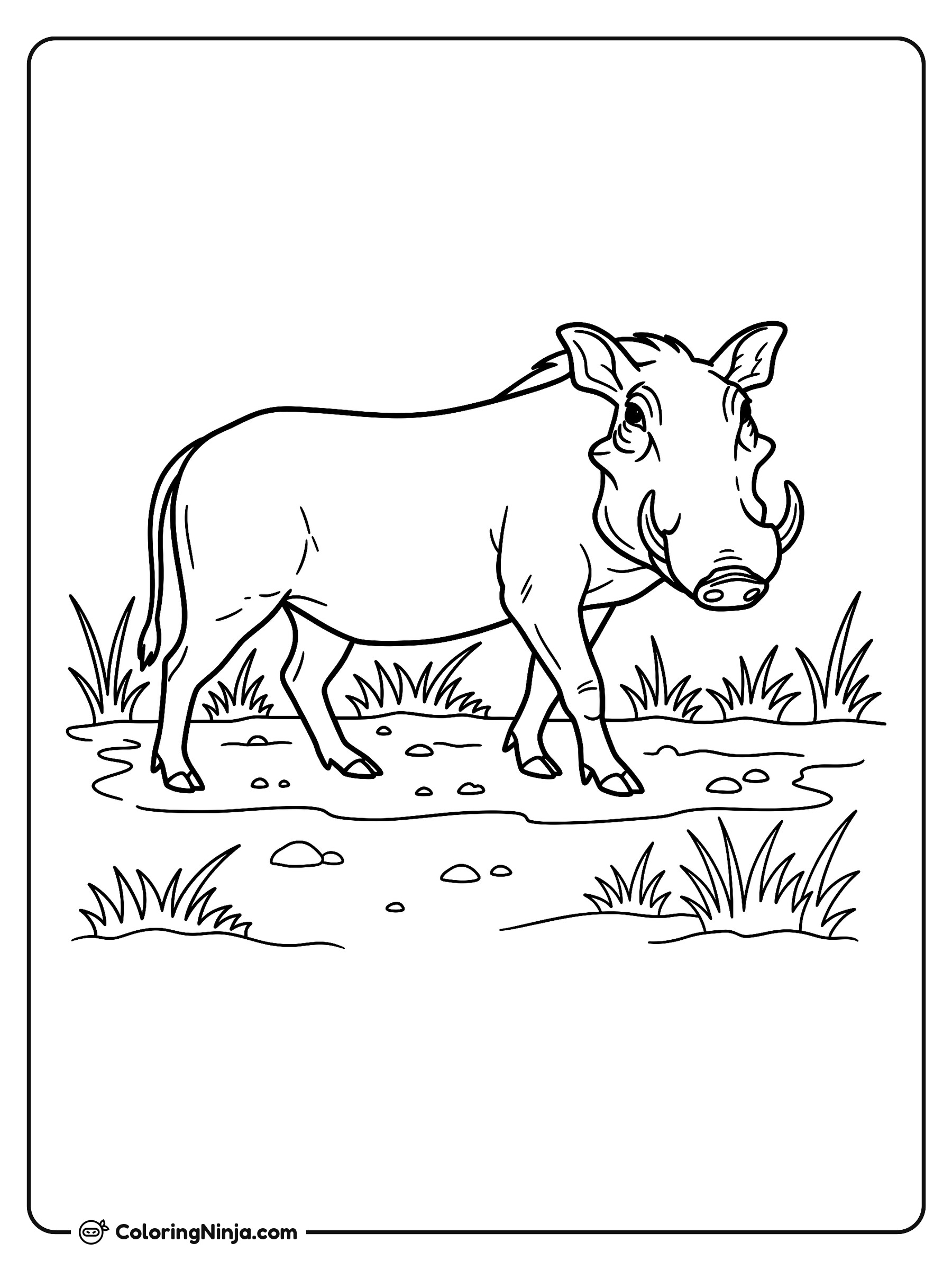 Un facóquero en el campo: dibujo para colorear