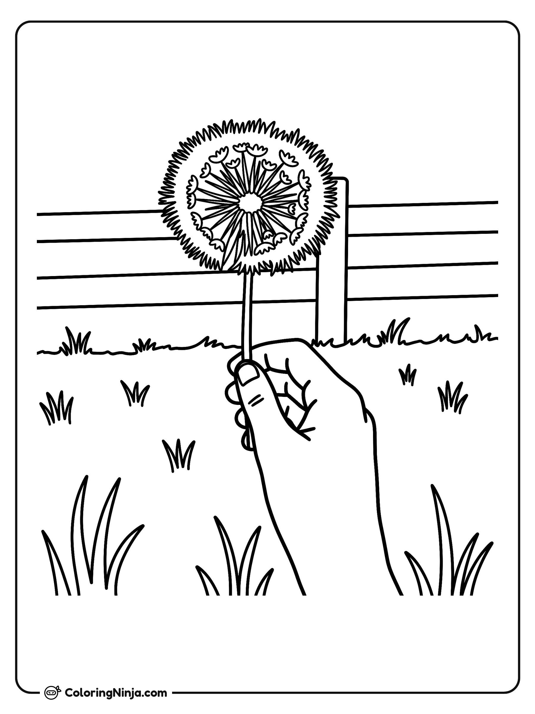 Mano sosteniendo un diente de león: dibujo para colorear