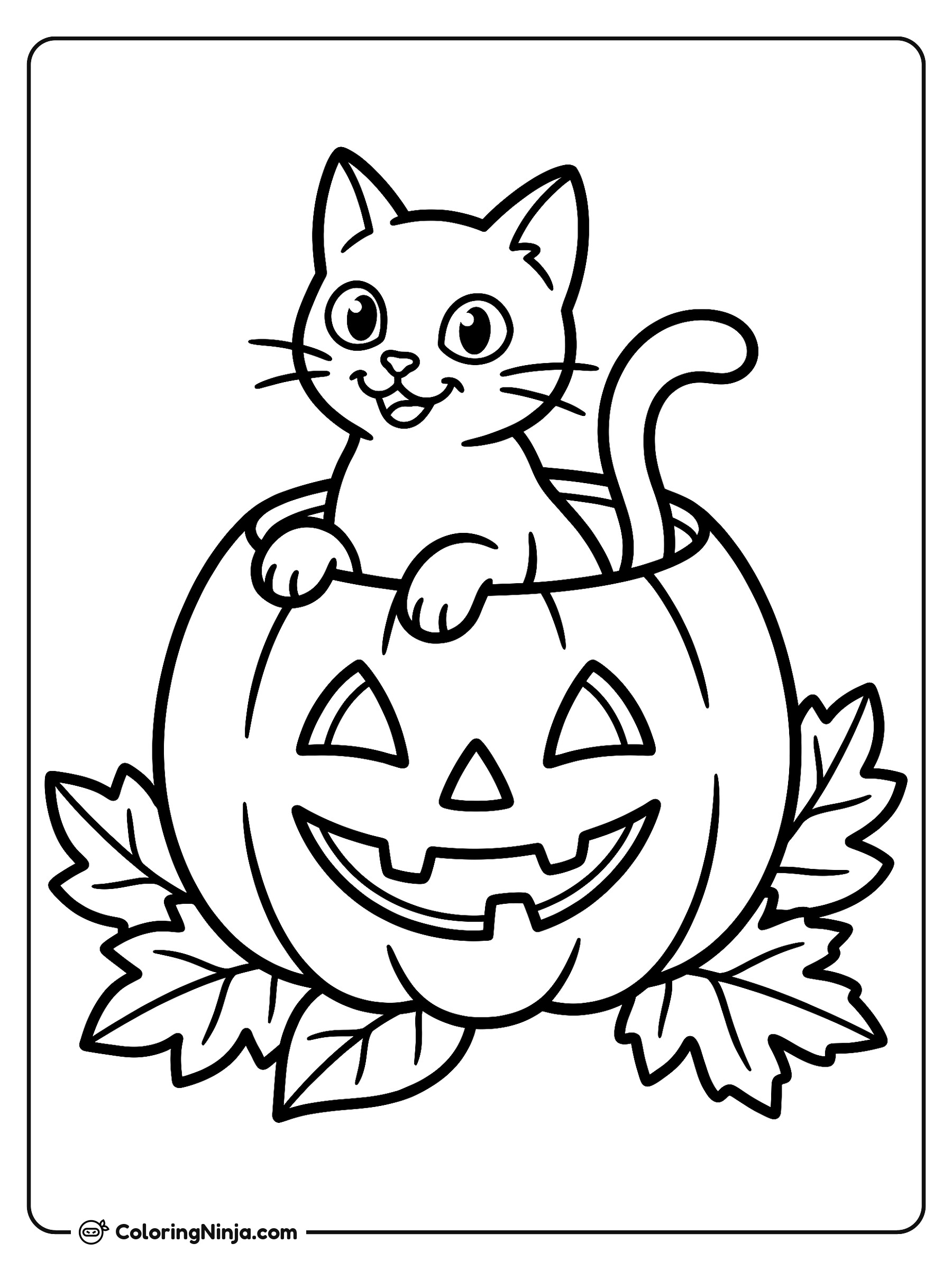 Curious Cat in a Pumpkin Coloring Page