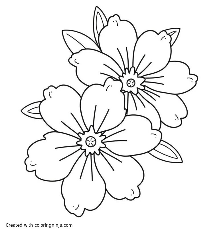 A coloring page of Plumeria Flowers