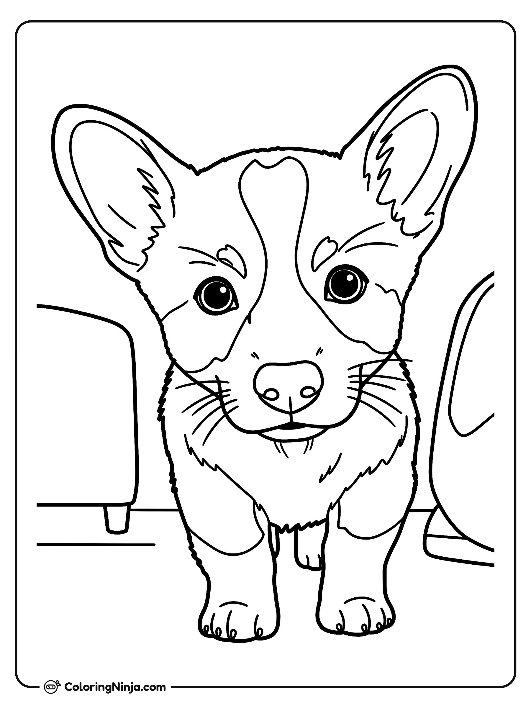 Perrito juguetón en la sala: dibujo para colorear