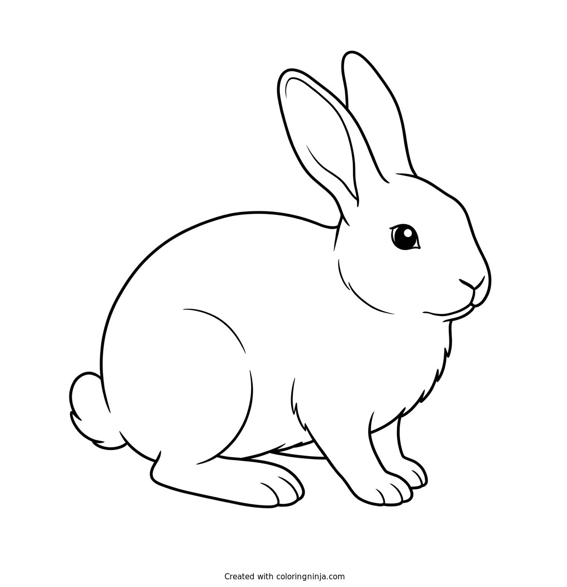 A Rabbit Coloring Page
