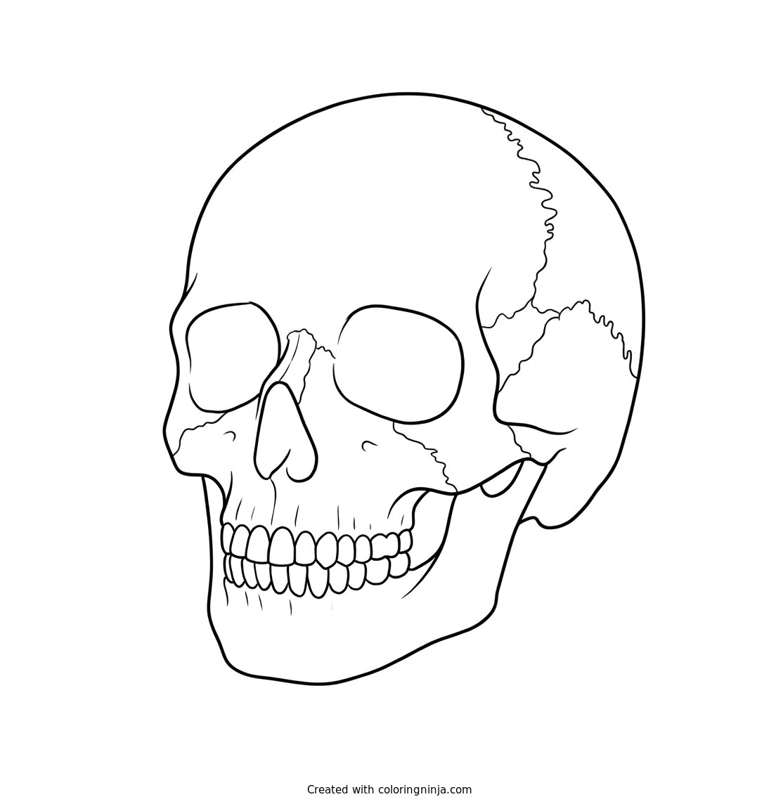 A Skull Coloring Page