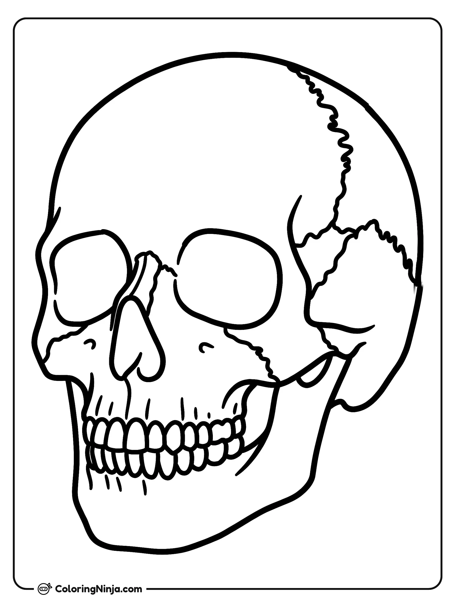 Un cráneo humano detallado, dibujo para colorear: Un cráneo está ligeramente inclinado hacia un lado, mostrando sus grandes cuencas oculares, la cavidad nasal central y una dentadura completa.