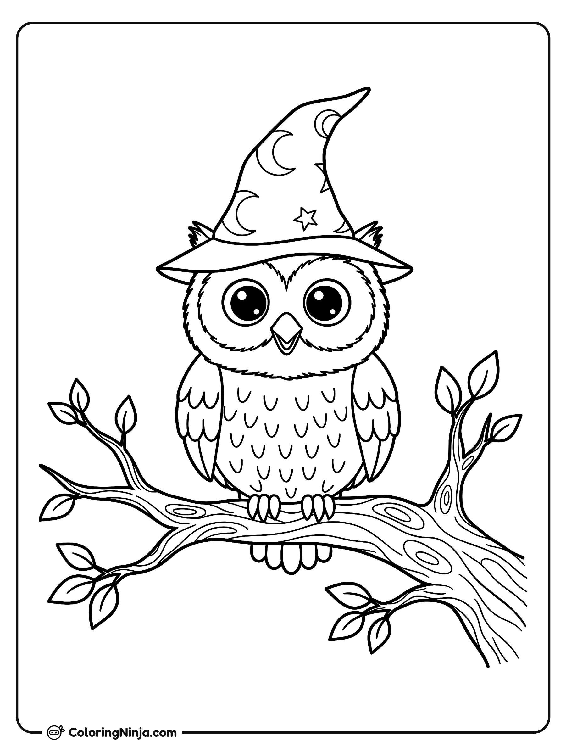 El sabio búho nocturno: dibujo para colorear